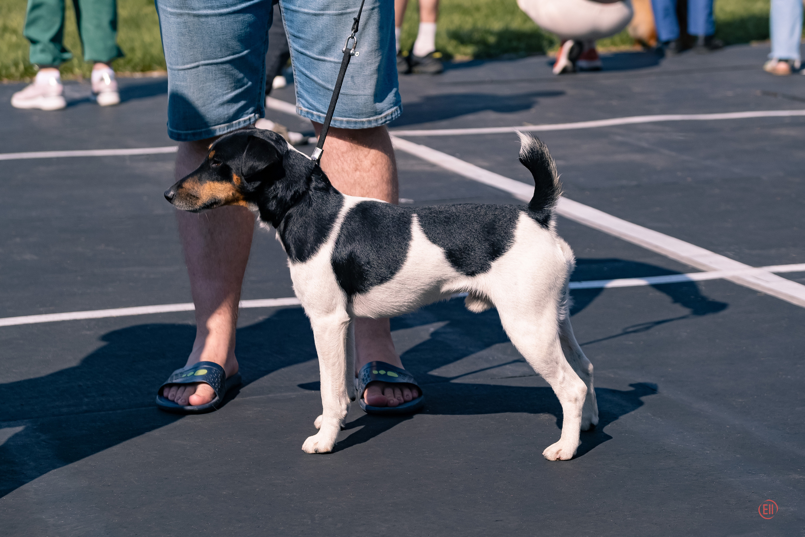Тула 20.08.2023. Фотограф в Москве