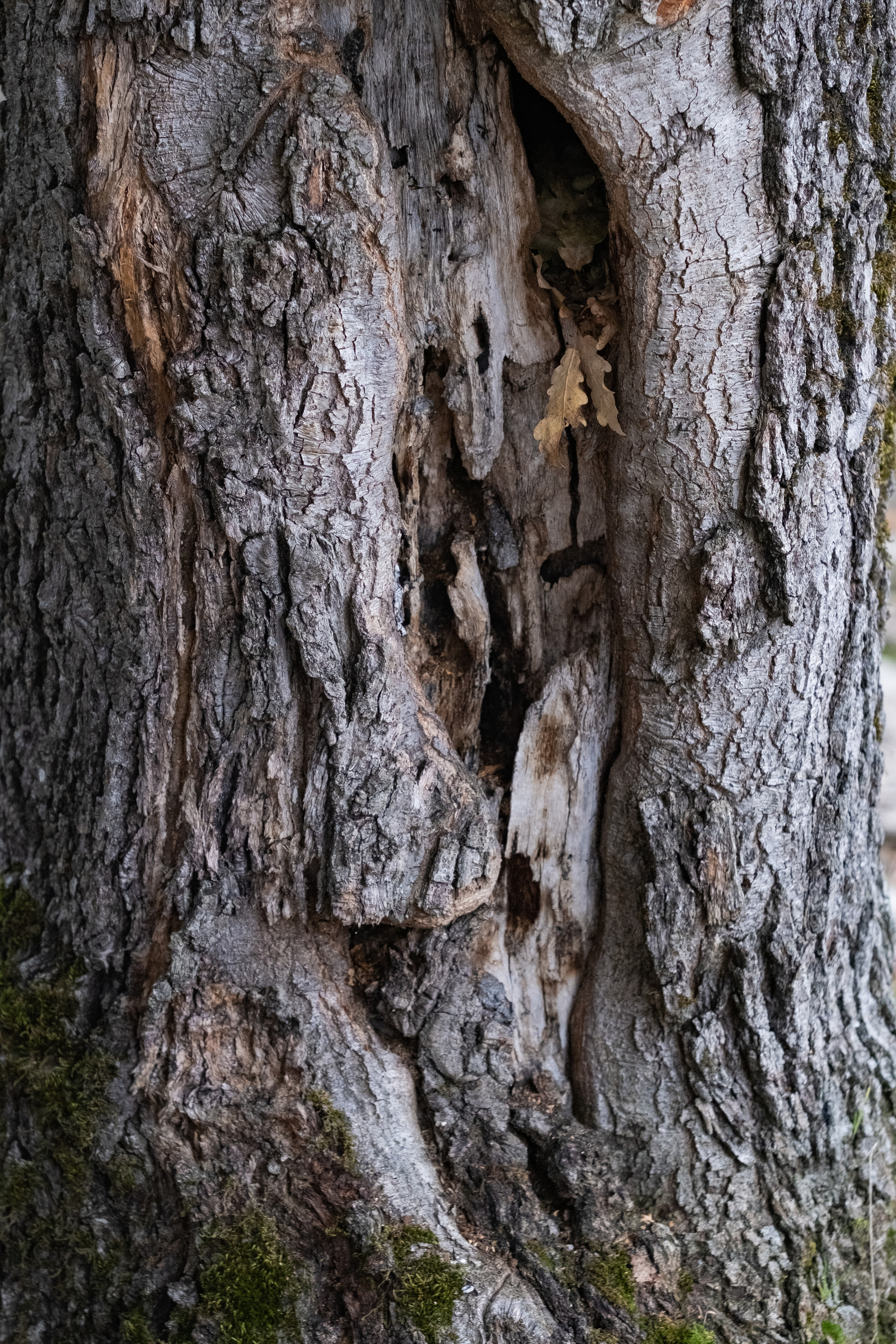 Сочи. Орлиные скалы. 30.10.2022. Фотограф в Москве