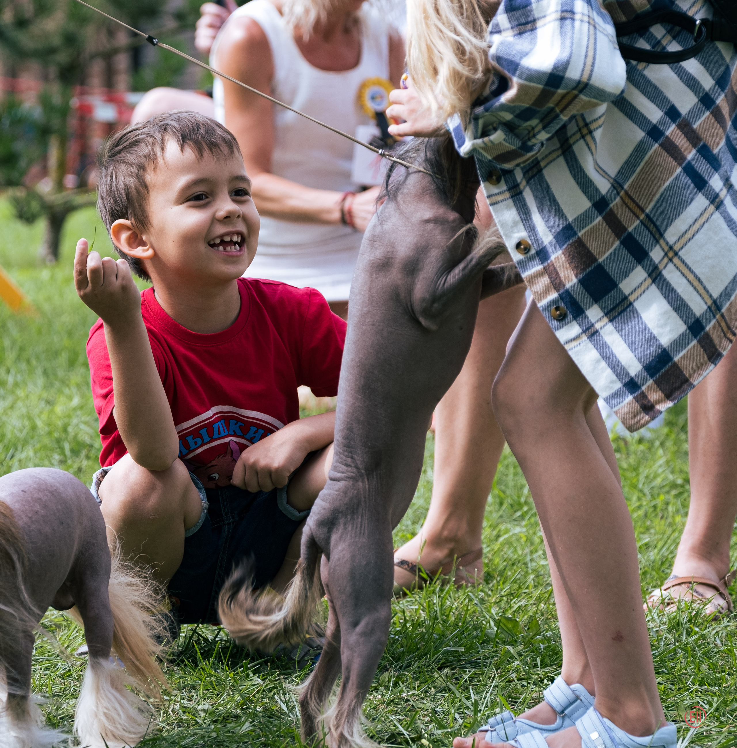 Липецк 30.07.2023. Фотограф в Москве
