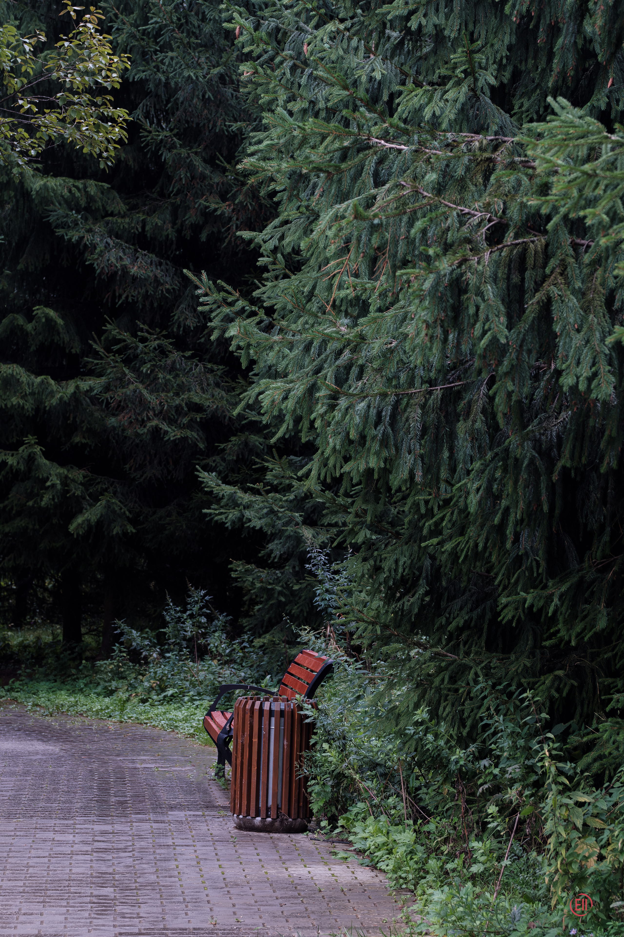 Парк Тропарёво 26.08.2023. Фотограф в Москве