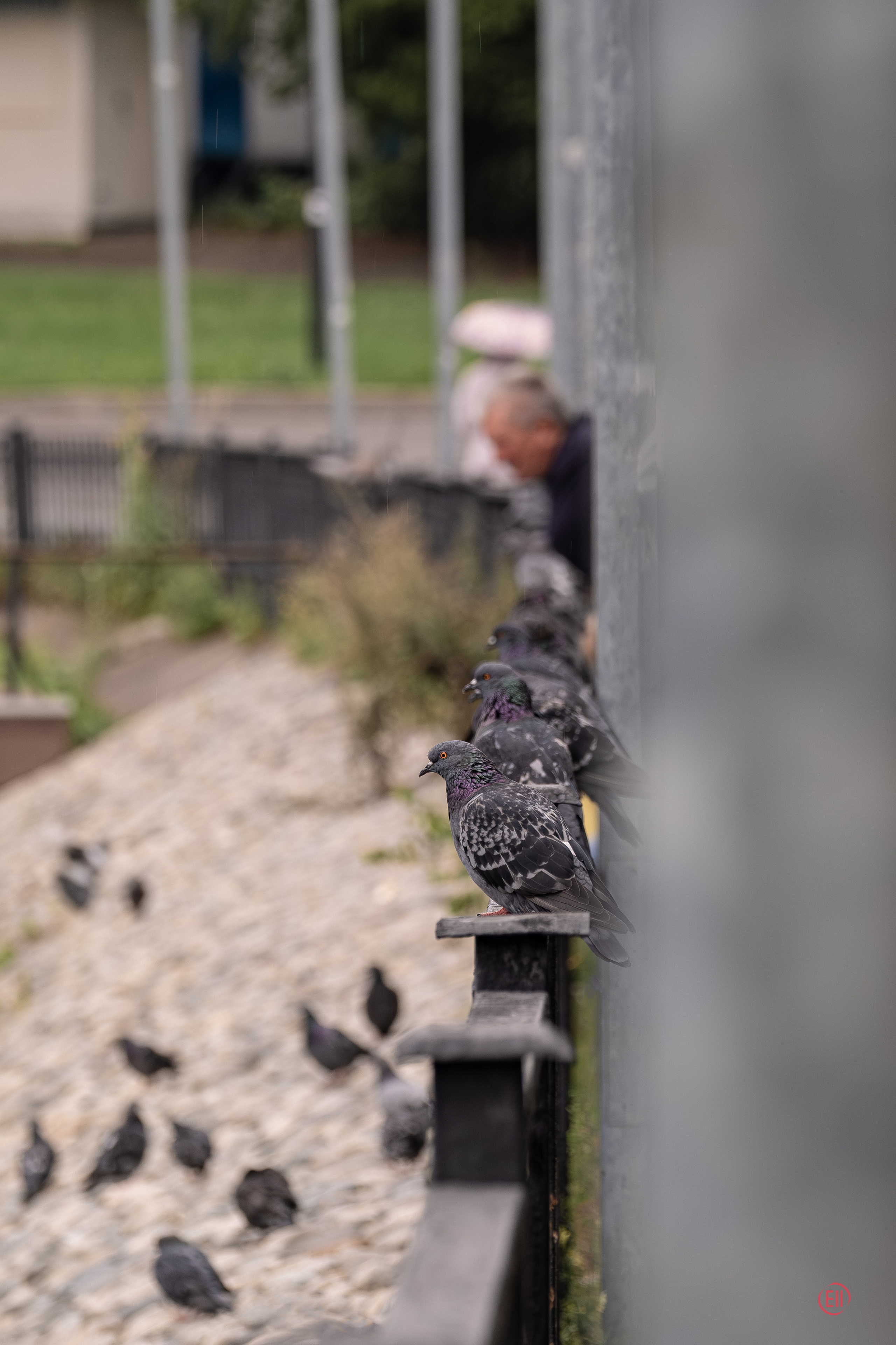 Парк Тропарёво 26.08.2023. Фотограф в Москве