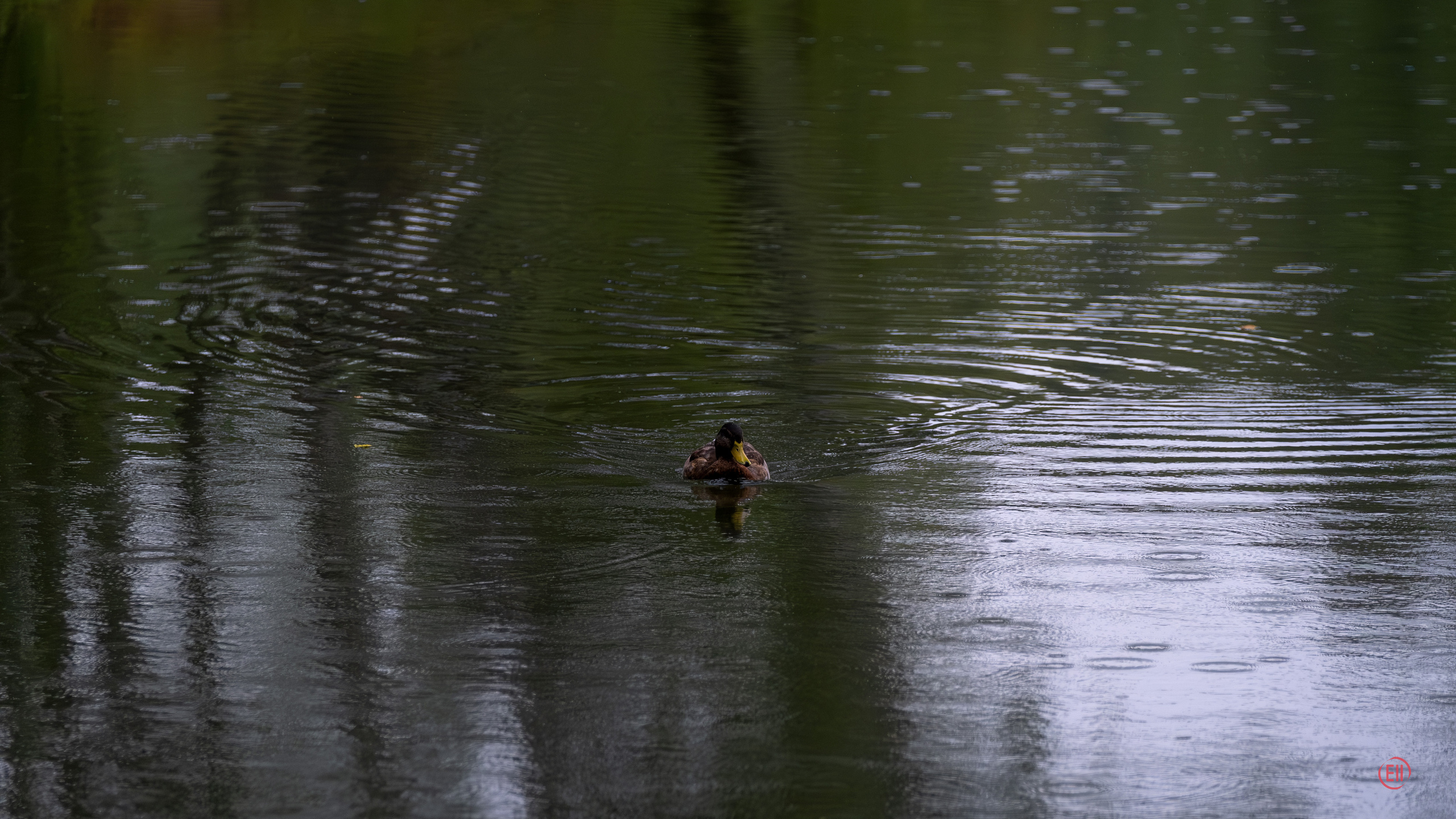Парк Тропарёво 26.08.2023. Фотограф в Москве