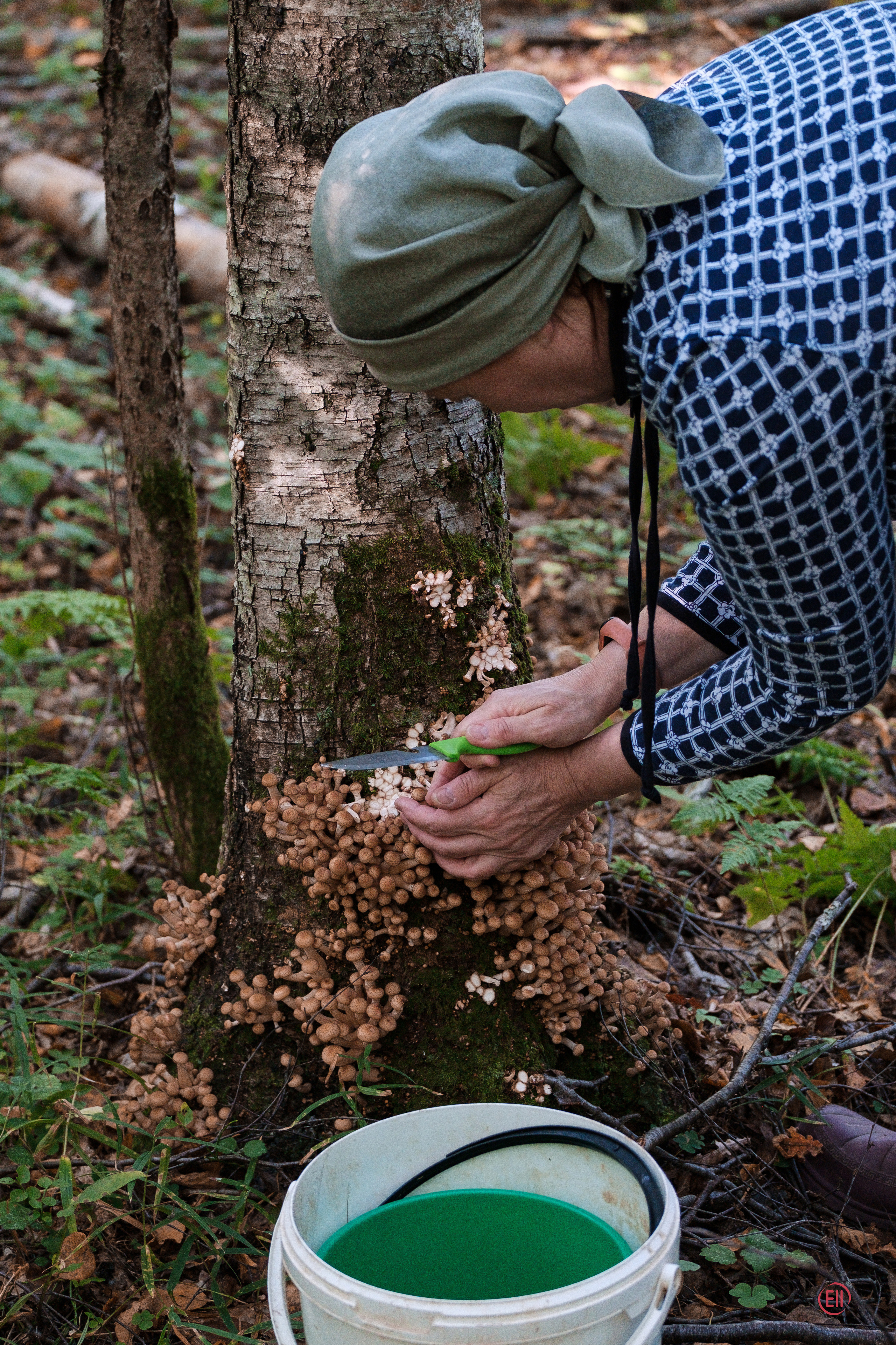 За грибами 13.09.2023. Фотограф в Москве