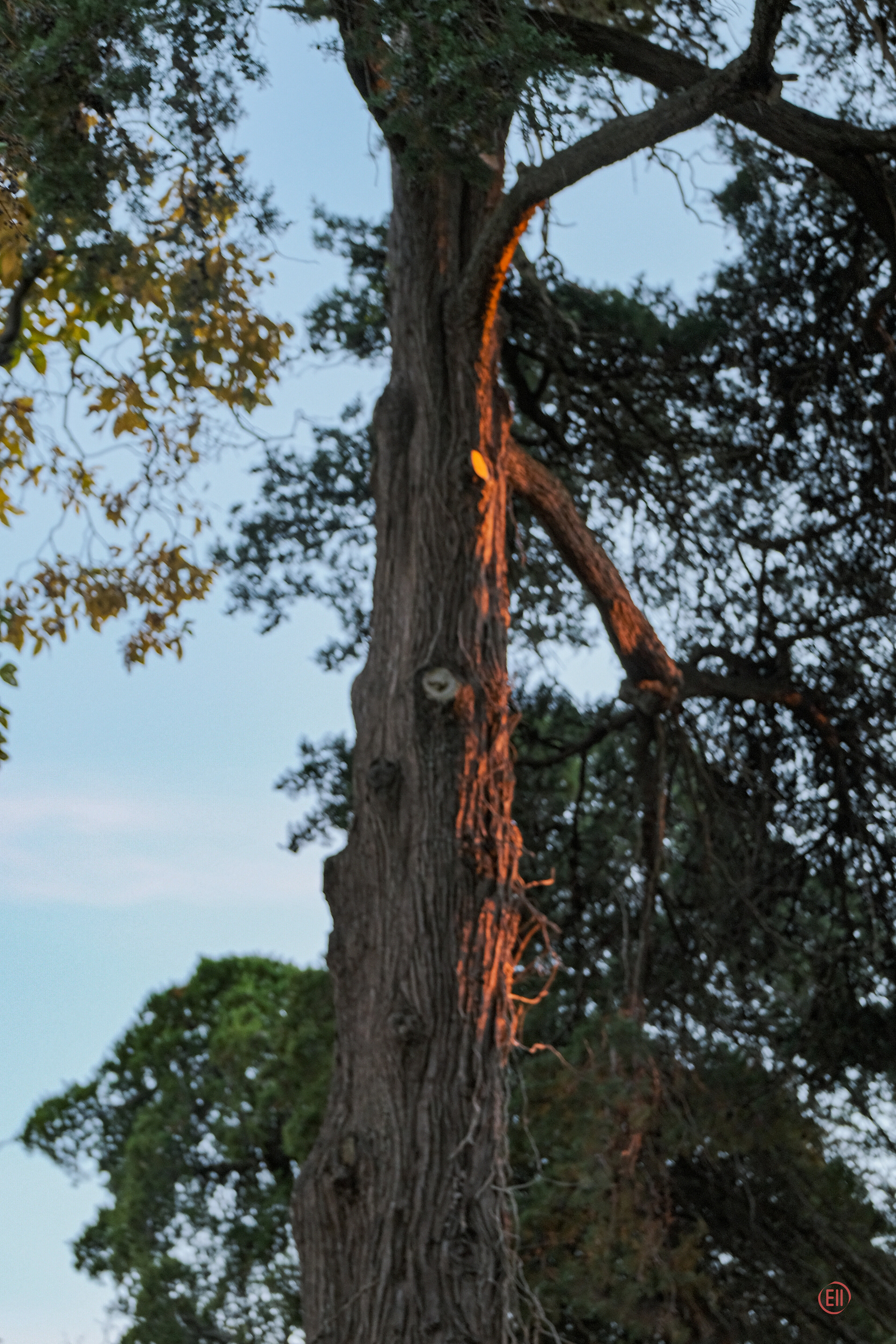 Сочи. Орлиные скалы. 30.10.2022. Фотограф в Москве