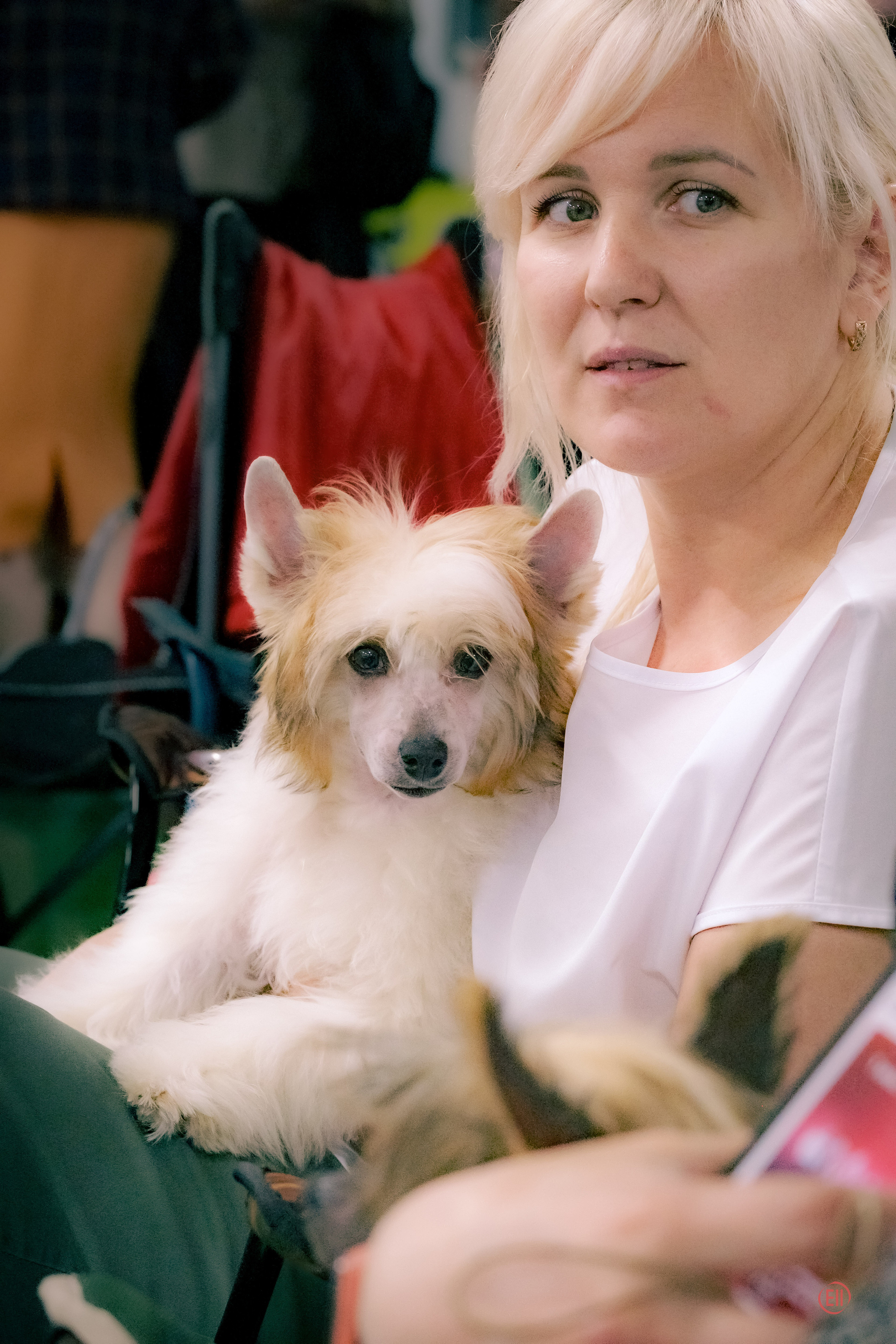 Национальная Выставка Породы 27.05.2023. Фотограф в Москве