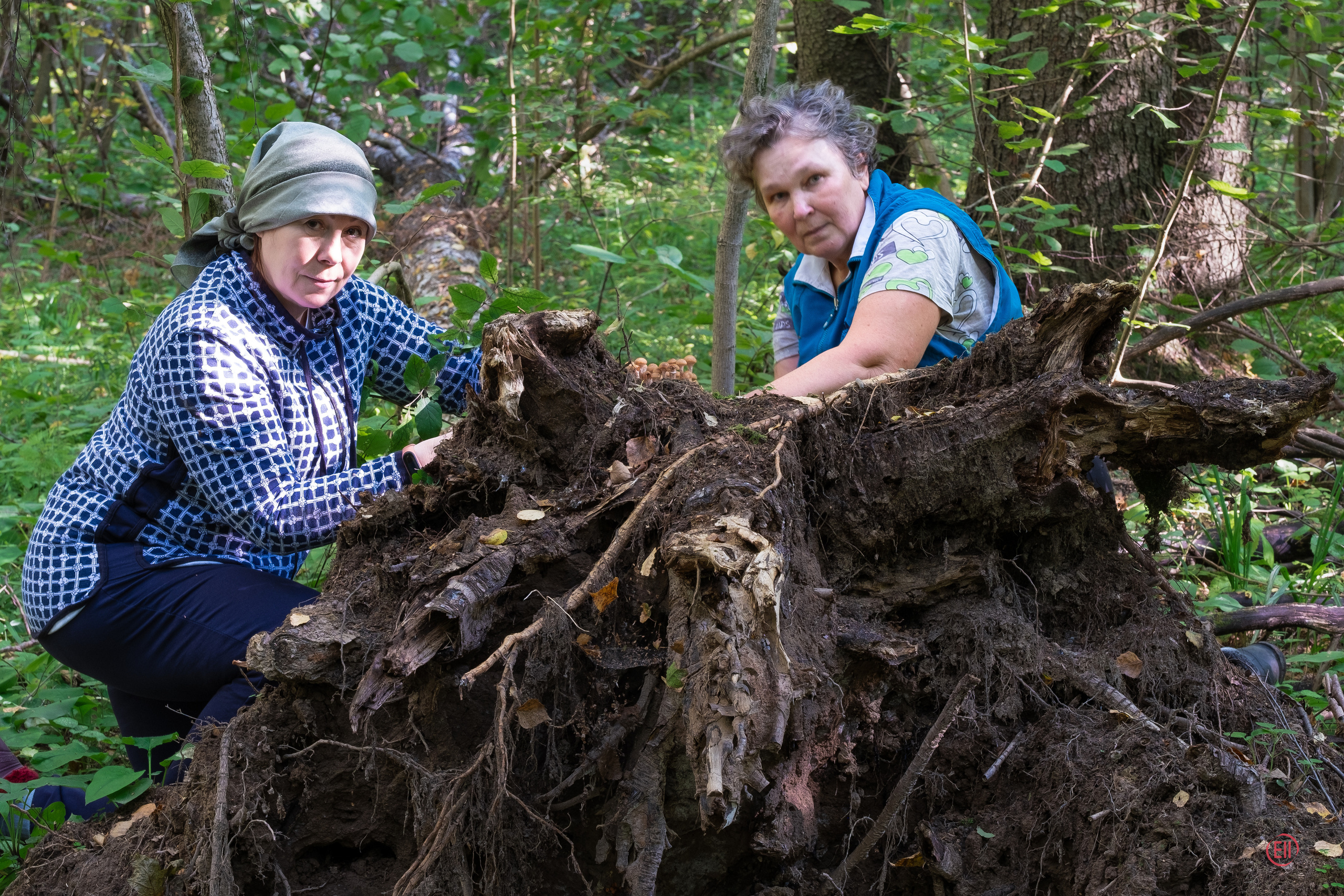 За грибами 13.09.2023. Фотограф в Москве