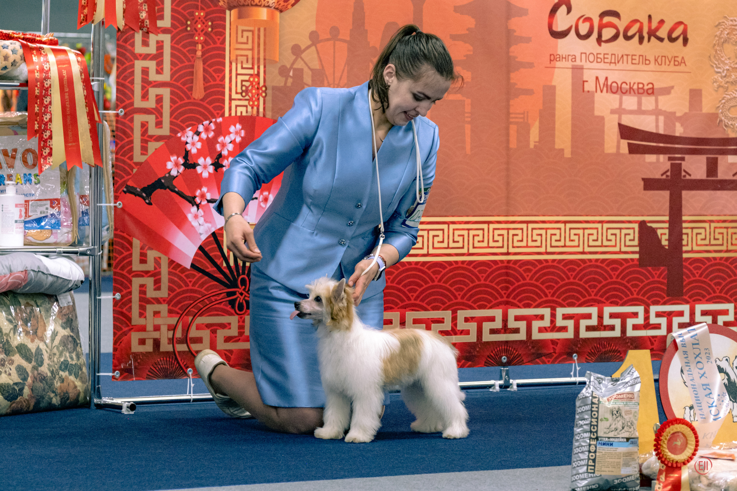 Национальная Выставка Породы 27.05.2023. Фотограф в Москве