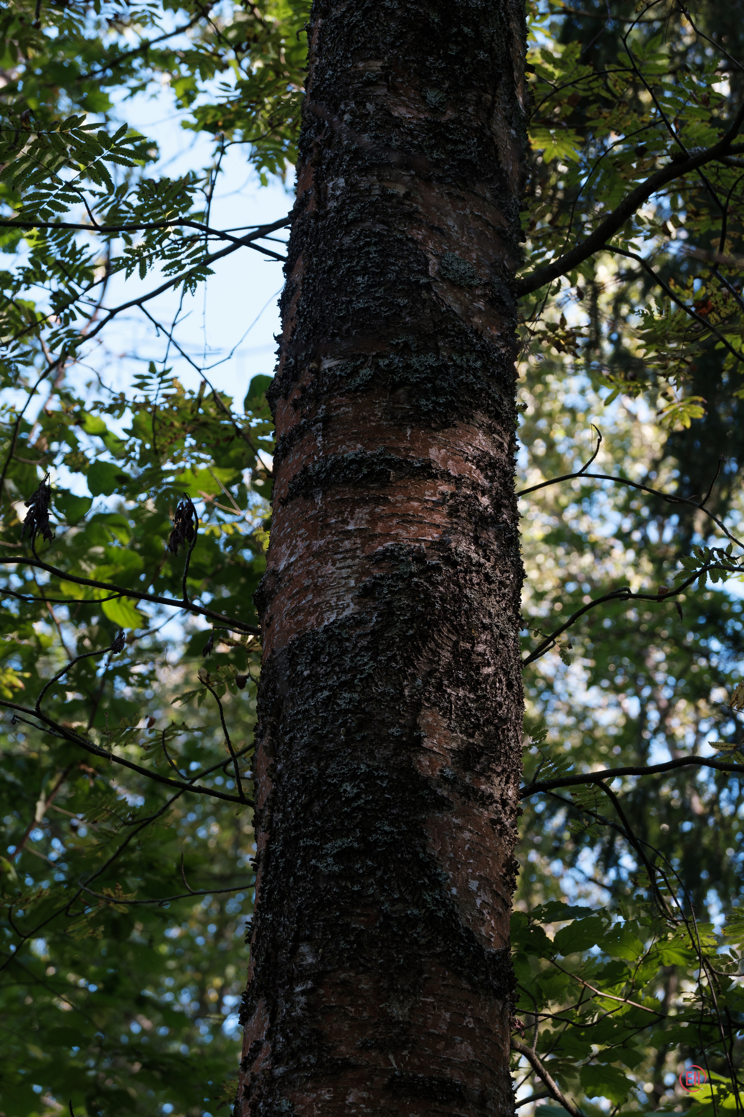 За грибами 13.09.2023. Фотограф в Москве