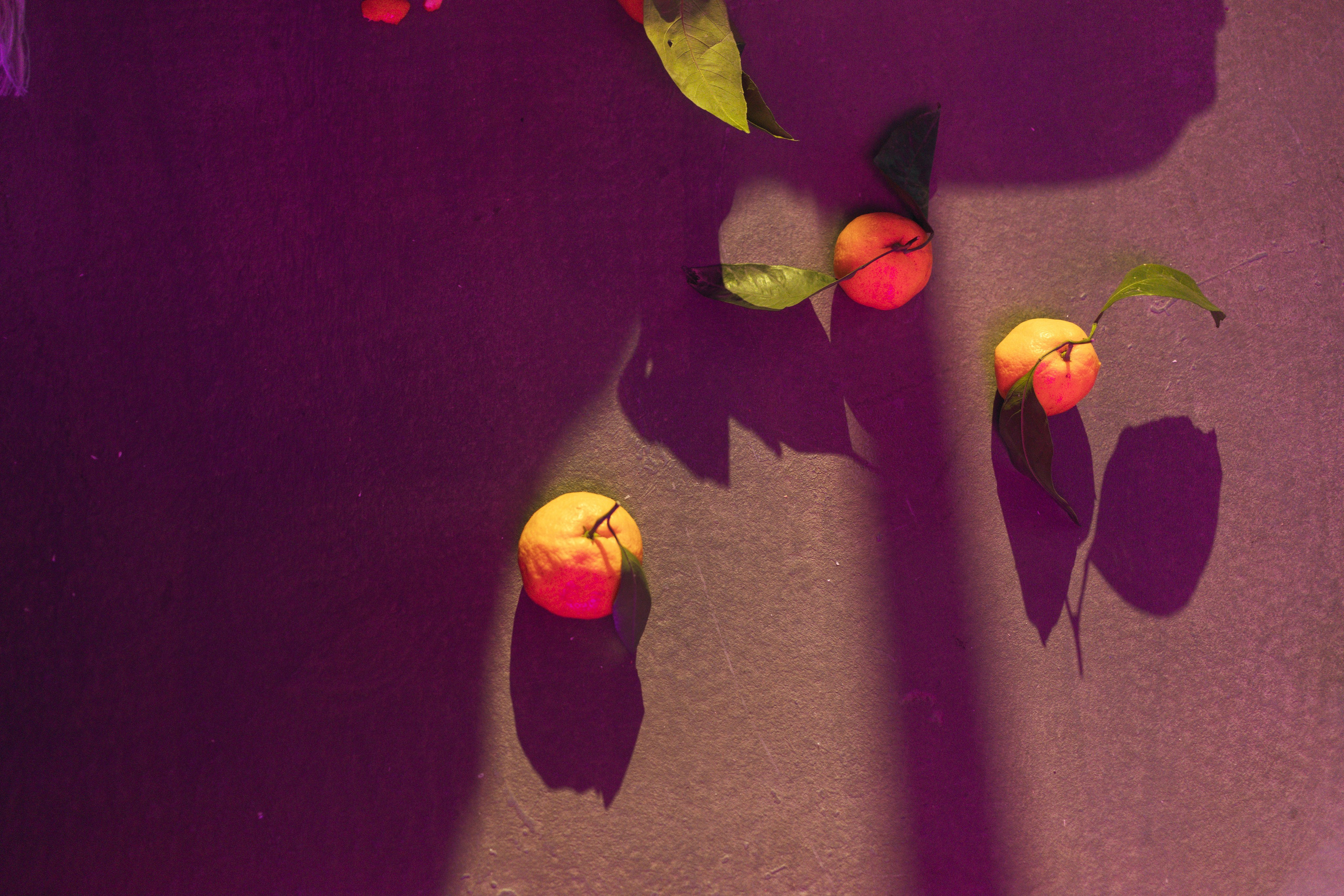 Дом, в котором…. Репортажный фотограф Анастасия Головко