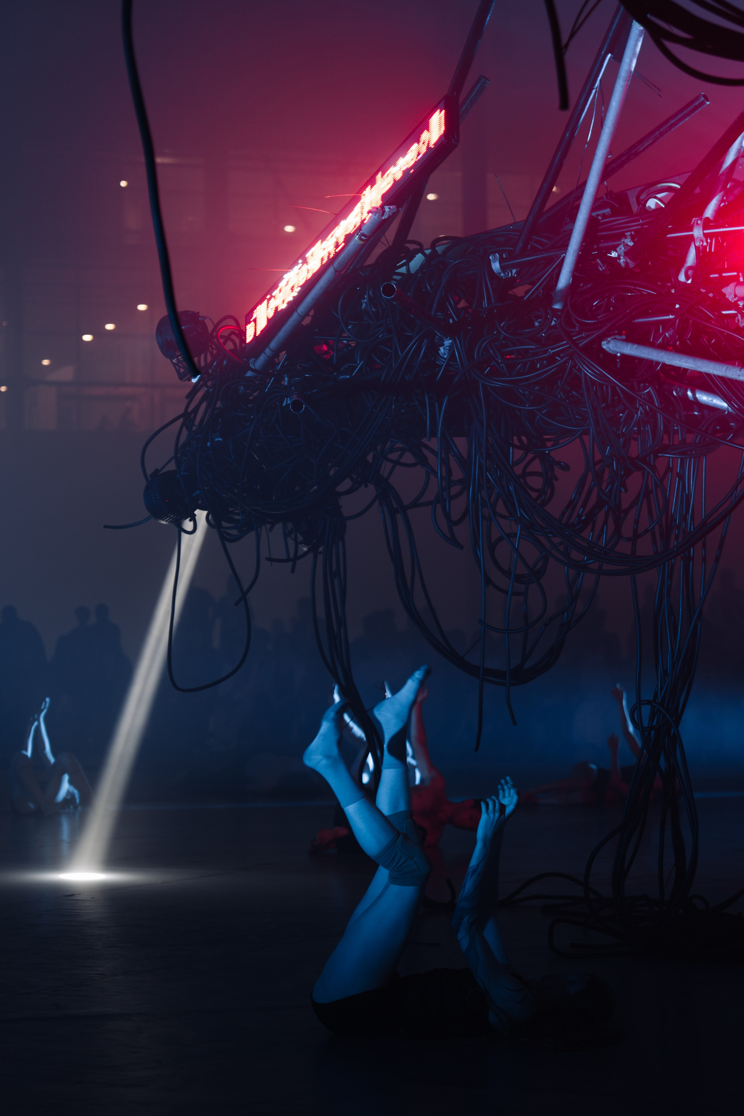 PERFORMA, The Hour of the Horse. @tomrus: Рустам Шагиморданов — фотограф