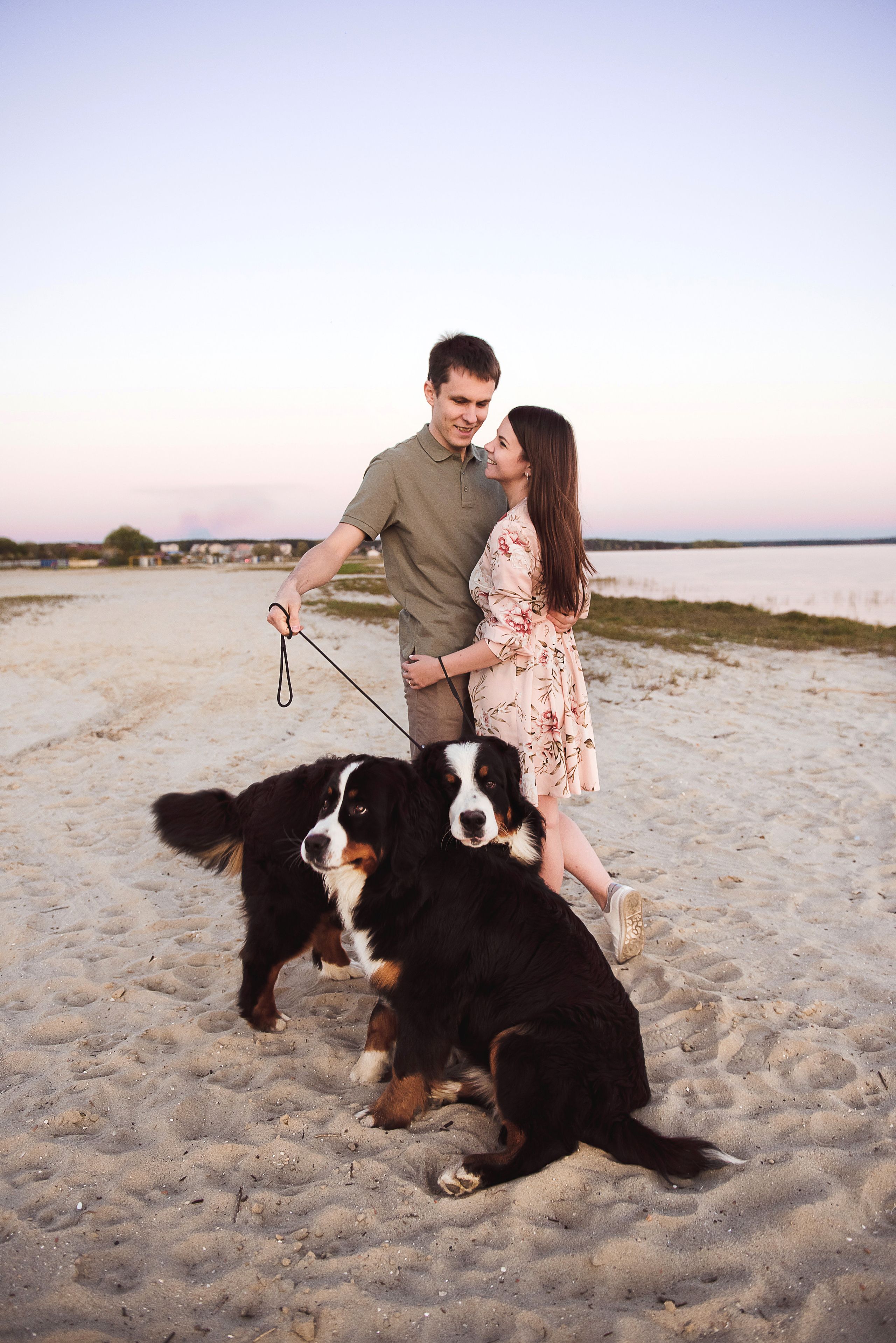 Андрей, Кристина и Бернский зенненхунд. Свадебный и семейный фотограф в Воронеже Алёна Пшеничная