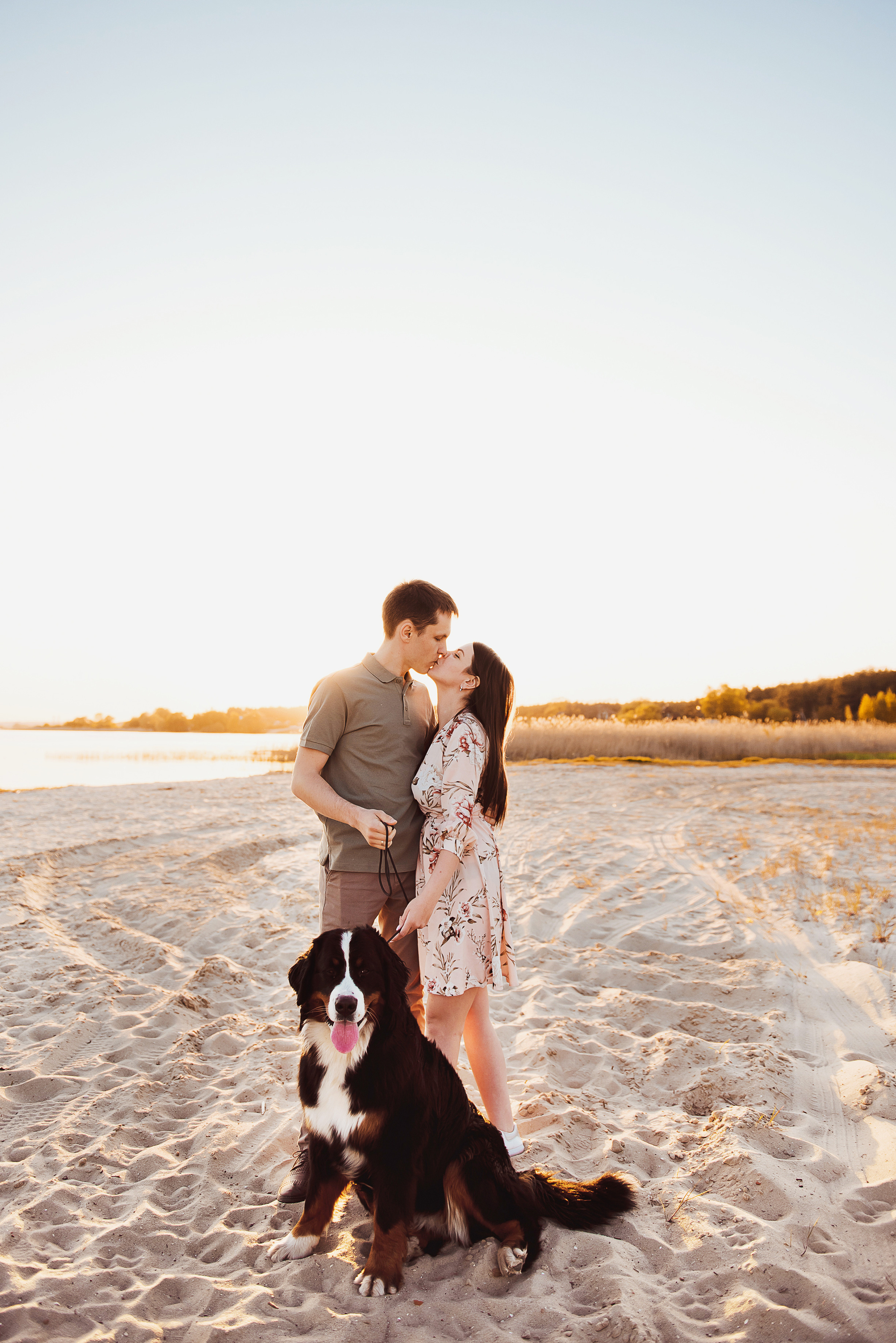 Андрей, Кристина и Бернский зенненхунд. Свадебный и семейный фотограф в Воронеже Алёна Пшеничная