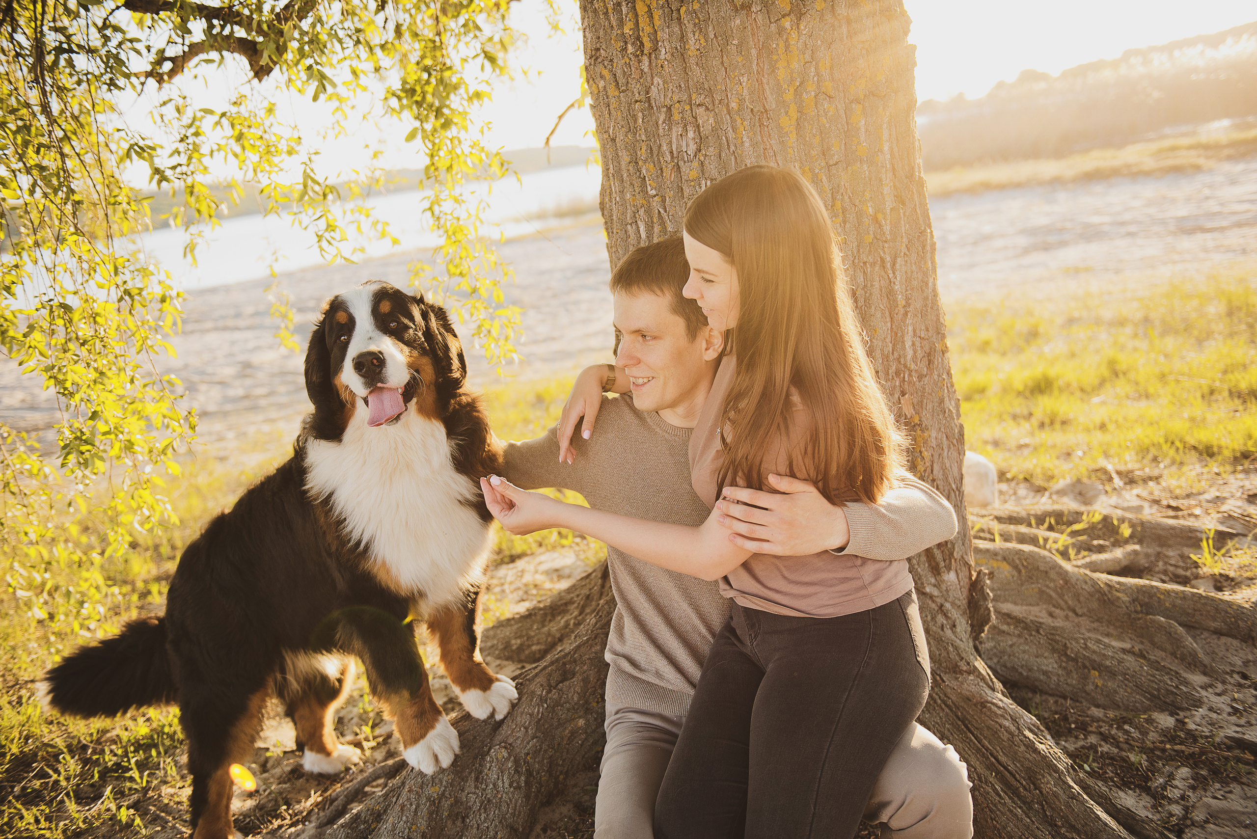 Андрей, Кристина и Бернский зенненхунд. Свадебный и семейный фотограф в Воронеже Алёна Пшеничная