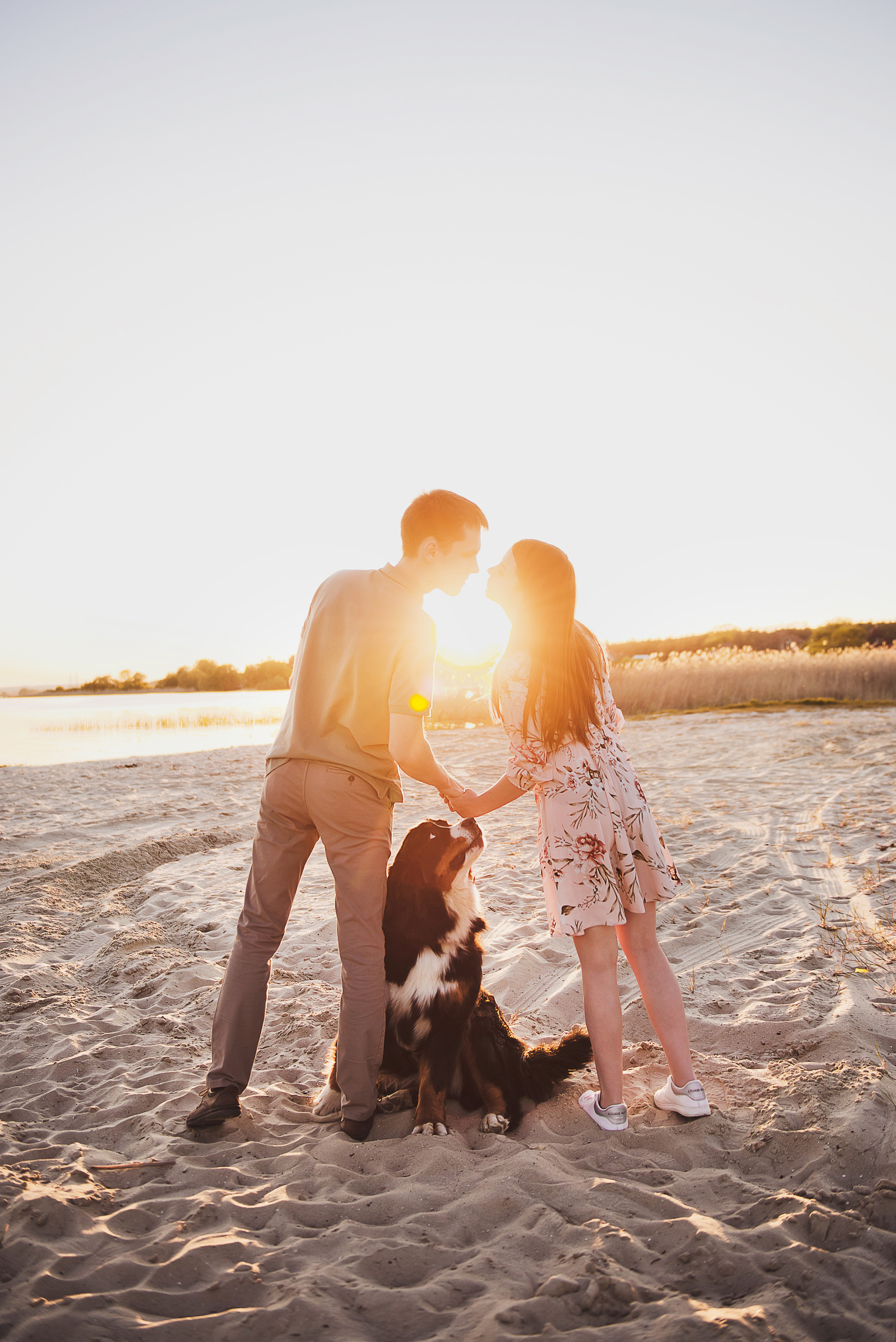Андрей, Кристина и Бернский зенненхунд. Свадебный и семейный фотограф в Воронеже Алёна Пшеничная