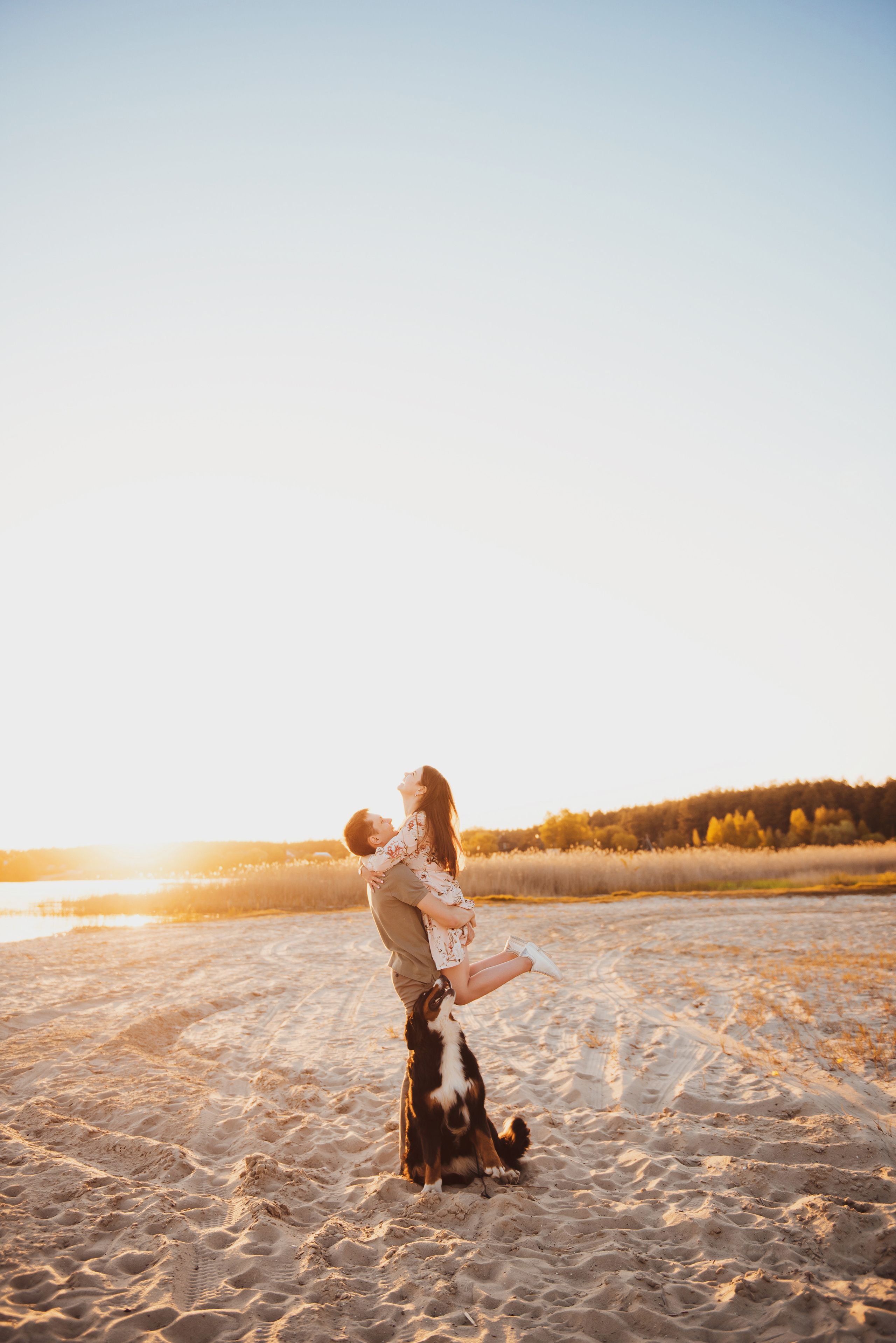 Андрей, Кристина и Бернский зенненхунд. Свадебный и семейный фотограф в Воронеже Алёна Пшеничная