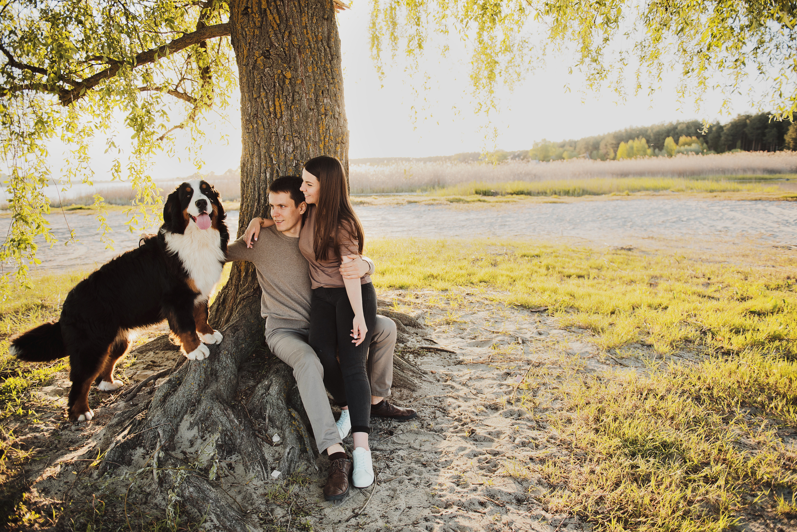 Андрей, Кристина и Бернский зенненхунд. Свадебный и семейный фотограф в Воронеже Алёна Пшеничная