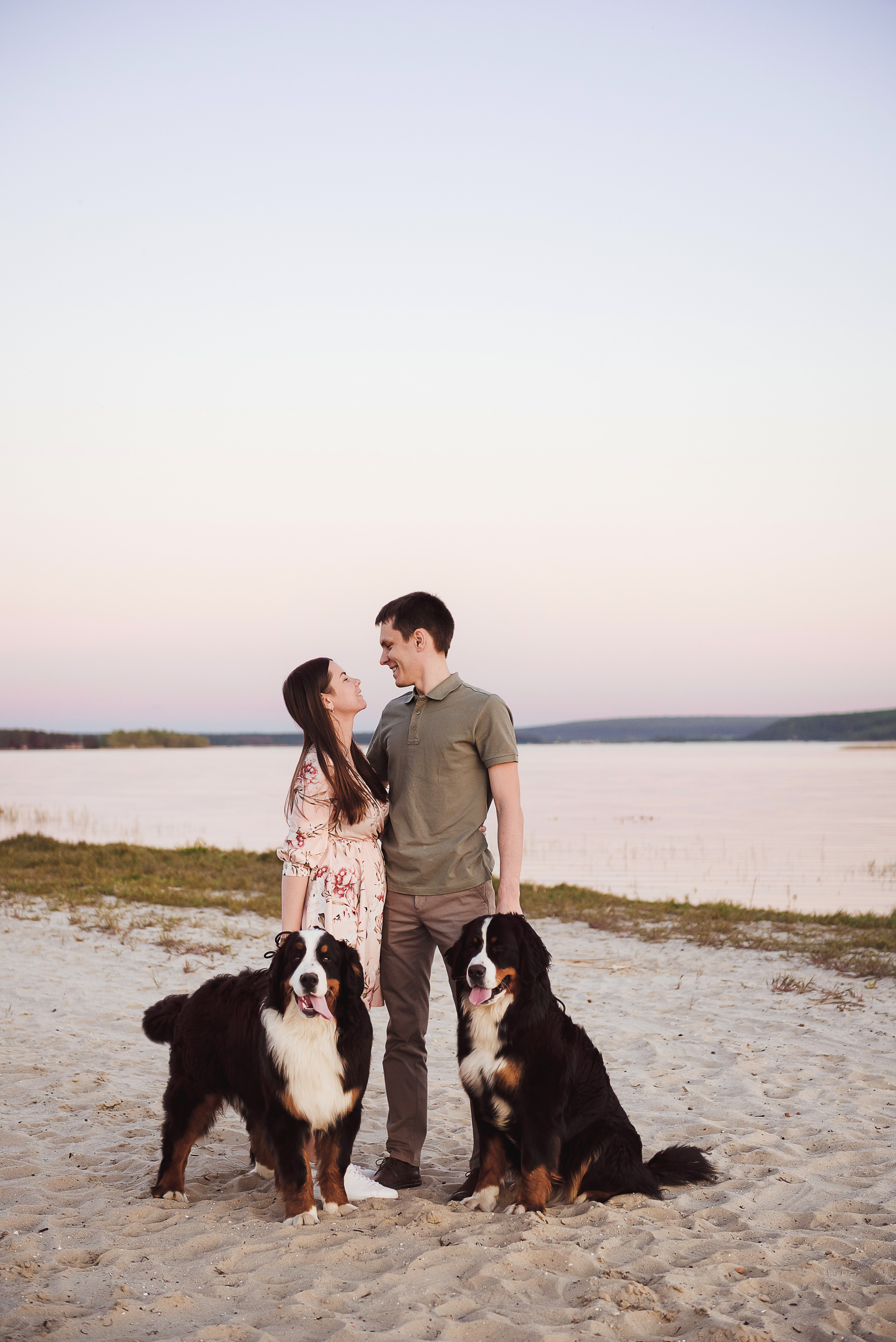 Андрей, Кристина и Бернский зенненхунд. Свадебный и семейный фотограф в Воронеже Алёна Пшеничная