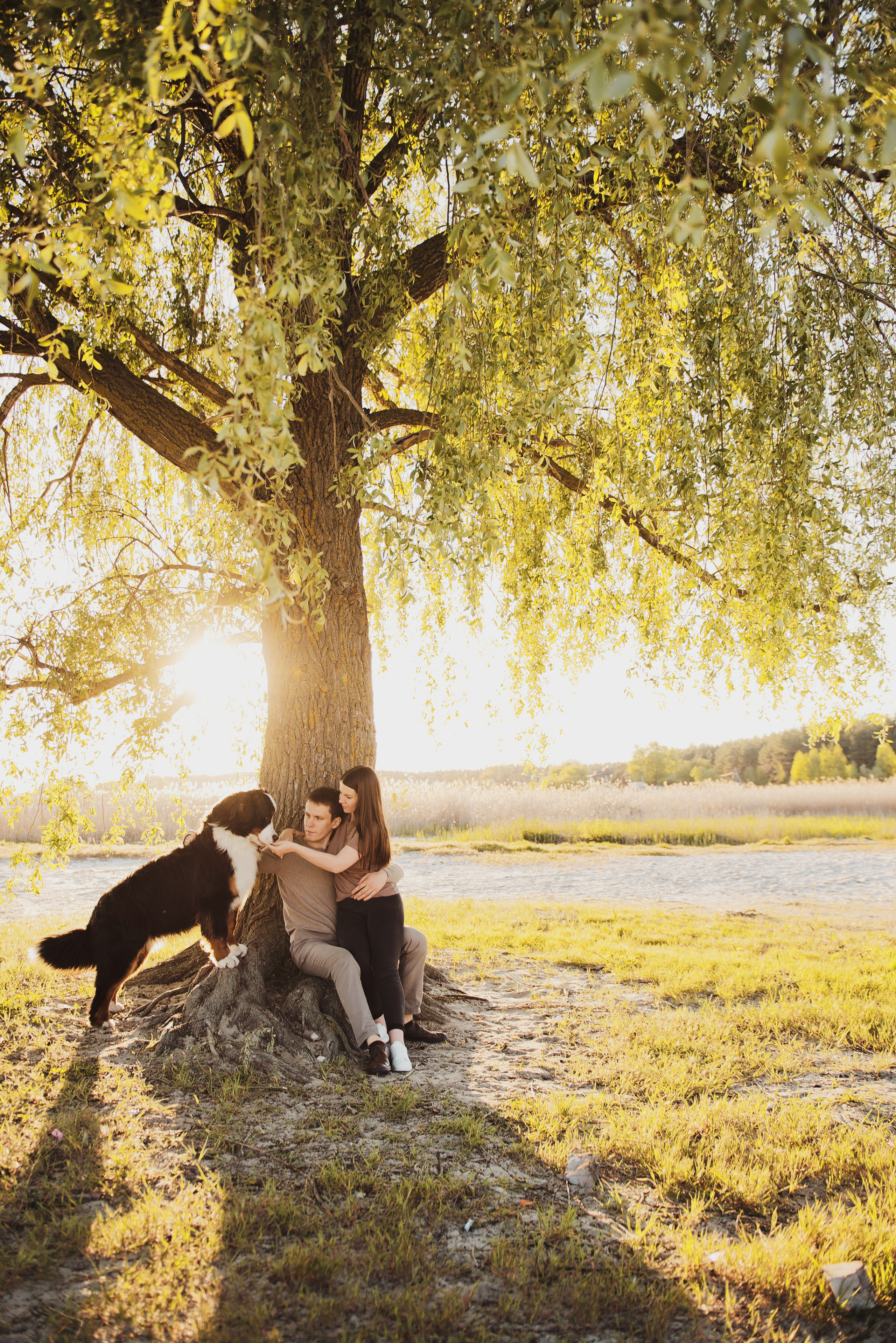 Андрей, Кристина и Бернский зенненхунд. Свадебный и семейный фотограф в Воронеже Алёна Пшеничная