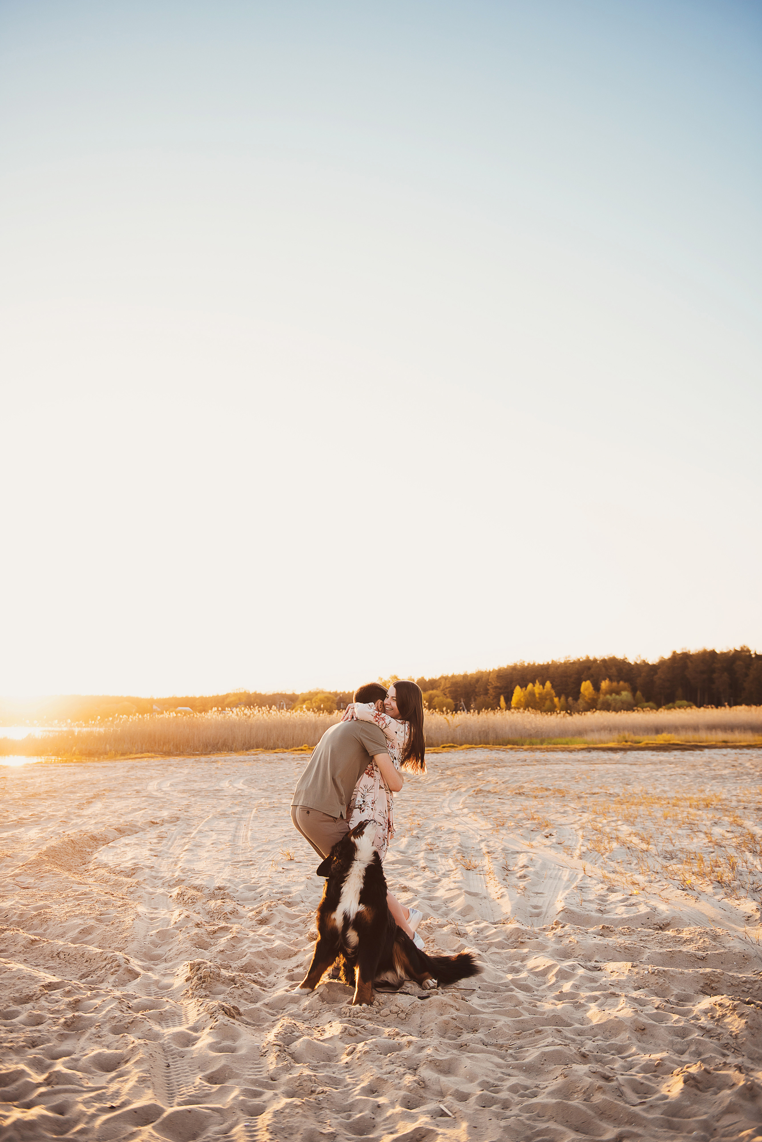 Андрей, Кристина и Бернский зенненхунд. Свадебный и семейный фотограф в Воронеже Алёна Пшеничная