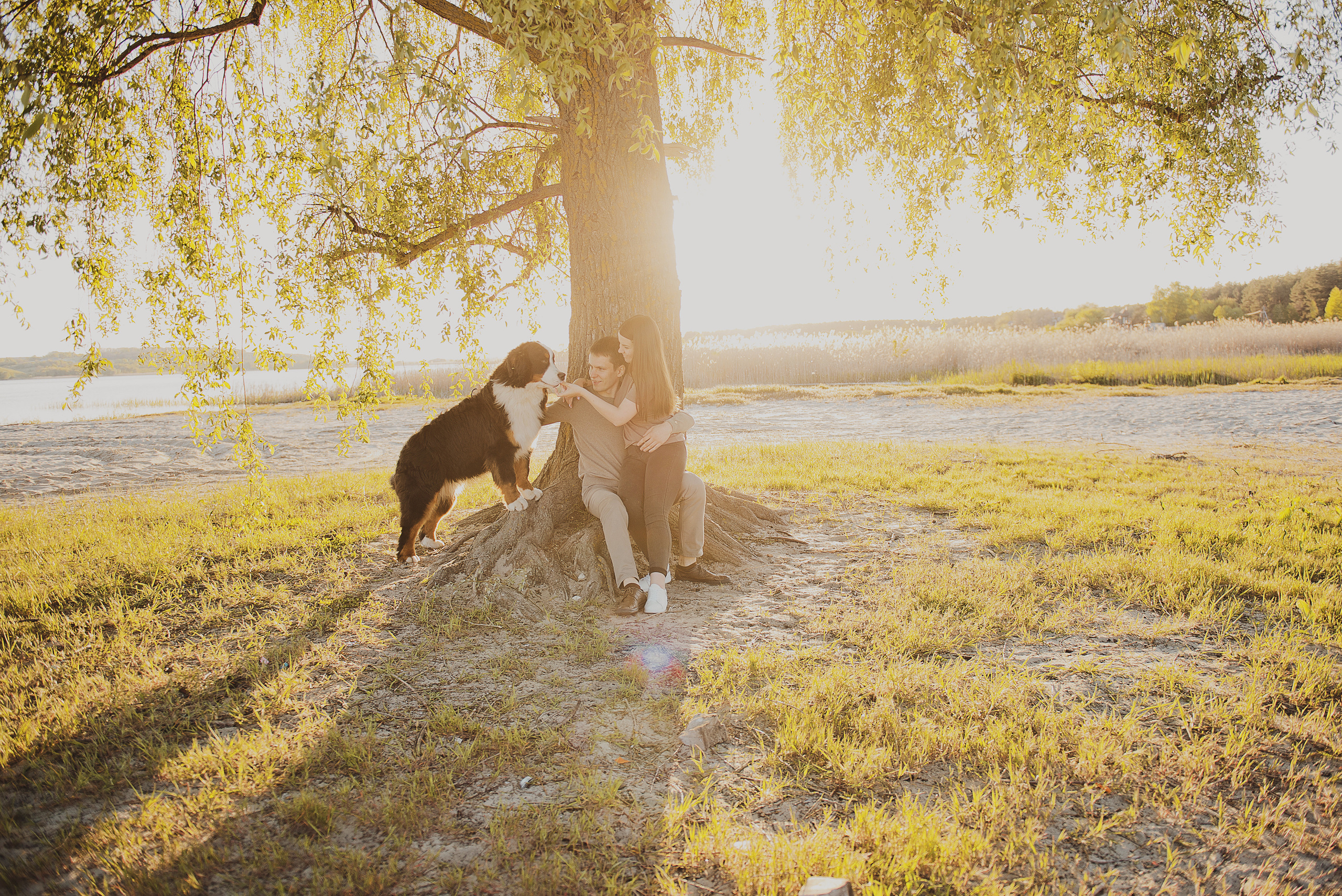 Андрей, Кристина и Бернский зенненхунд. Свадебный и семейный фотограф в Воронеже Алёна Пшеничная