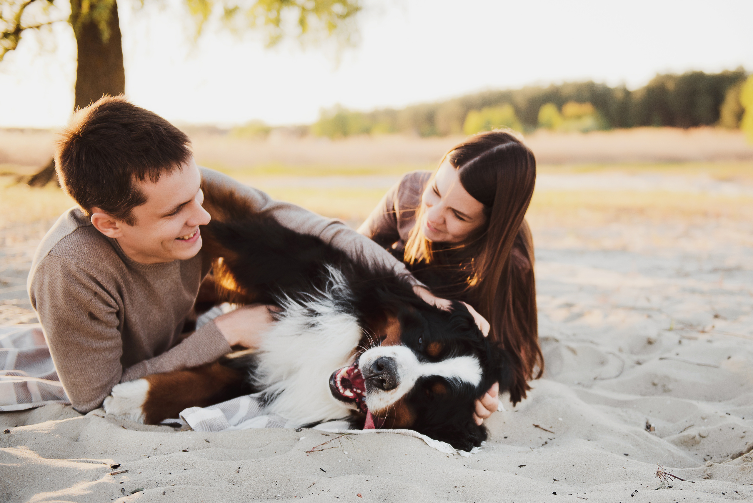 Андрей, Кристина и Бернский зенненхунд. Свадебный и семейный фотограф в Воронеже Алёна Пшеничная