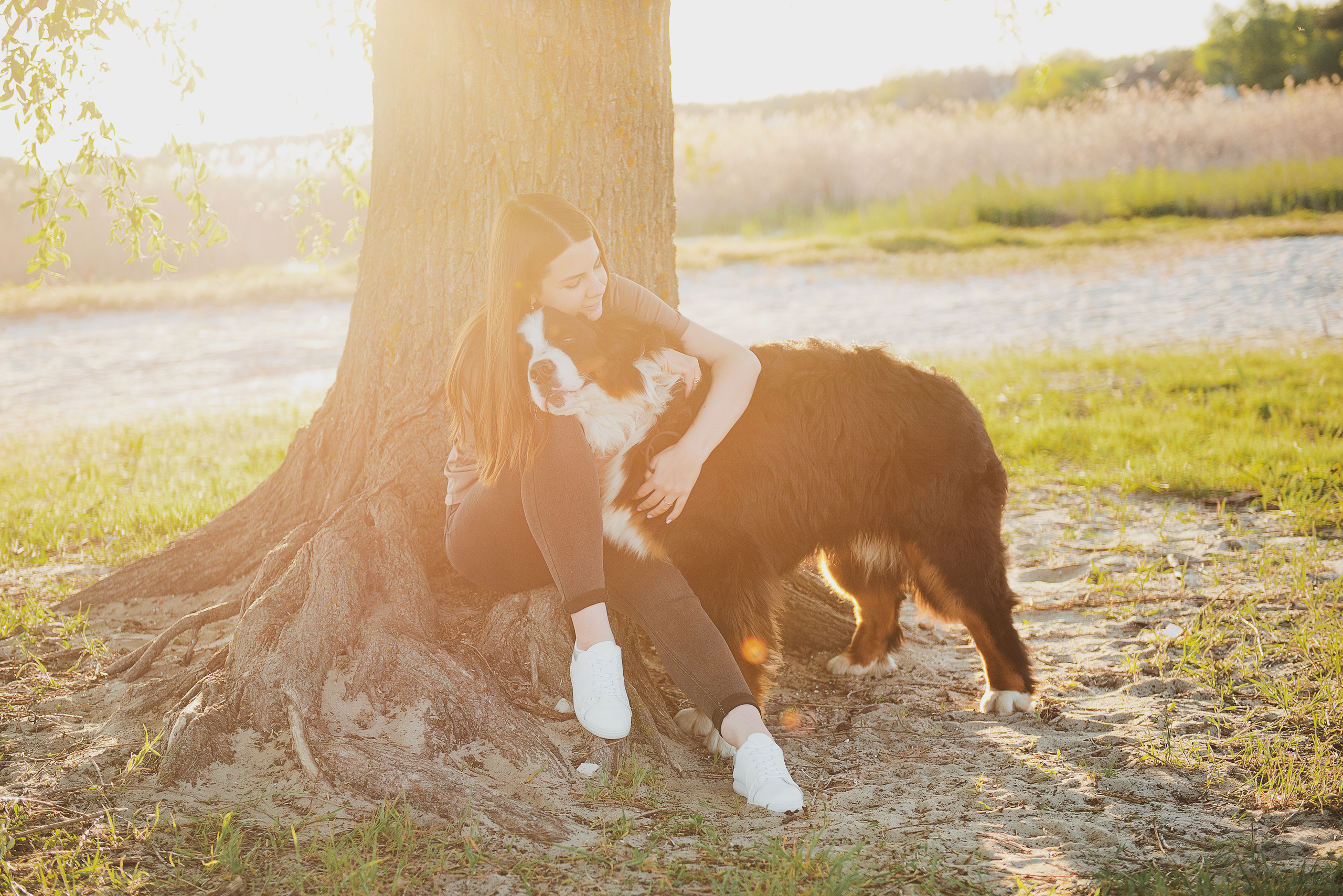 Андрей, Кристина и Бернский зенненхунд. Свадебный и семейный фотограф в Воронеже Алёна Пшеничная