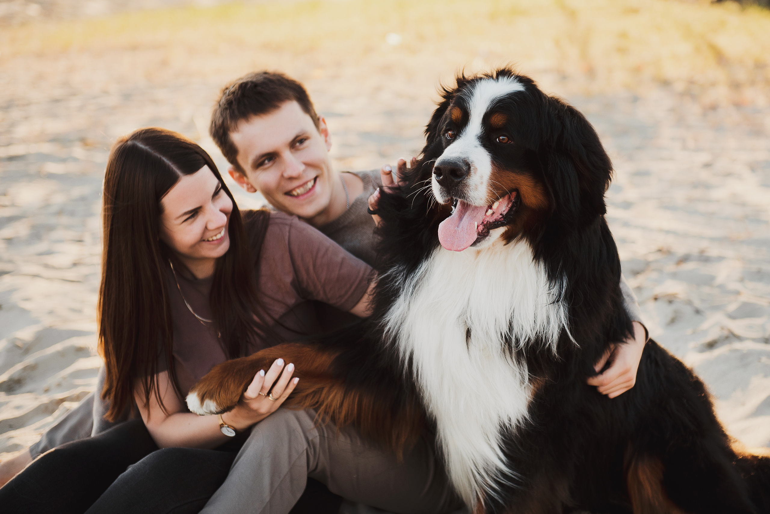 Андрей, Кристина и Бернский зенненхунд. Свадебный и семейный фотограф в Воронеже Алёна Пшеничная