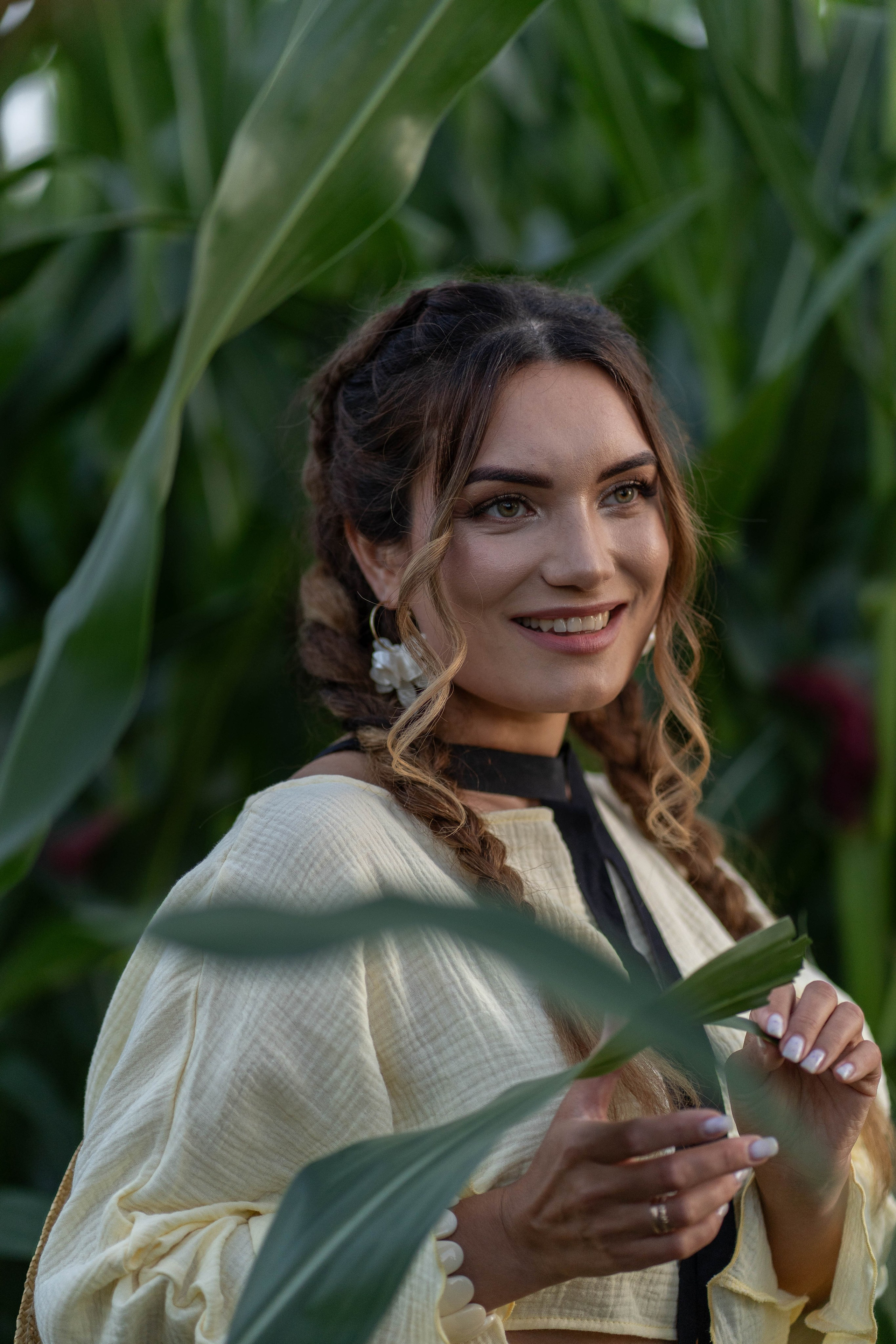 Кукурузное поле. Главная