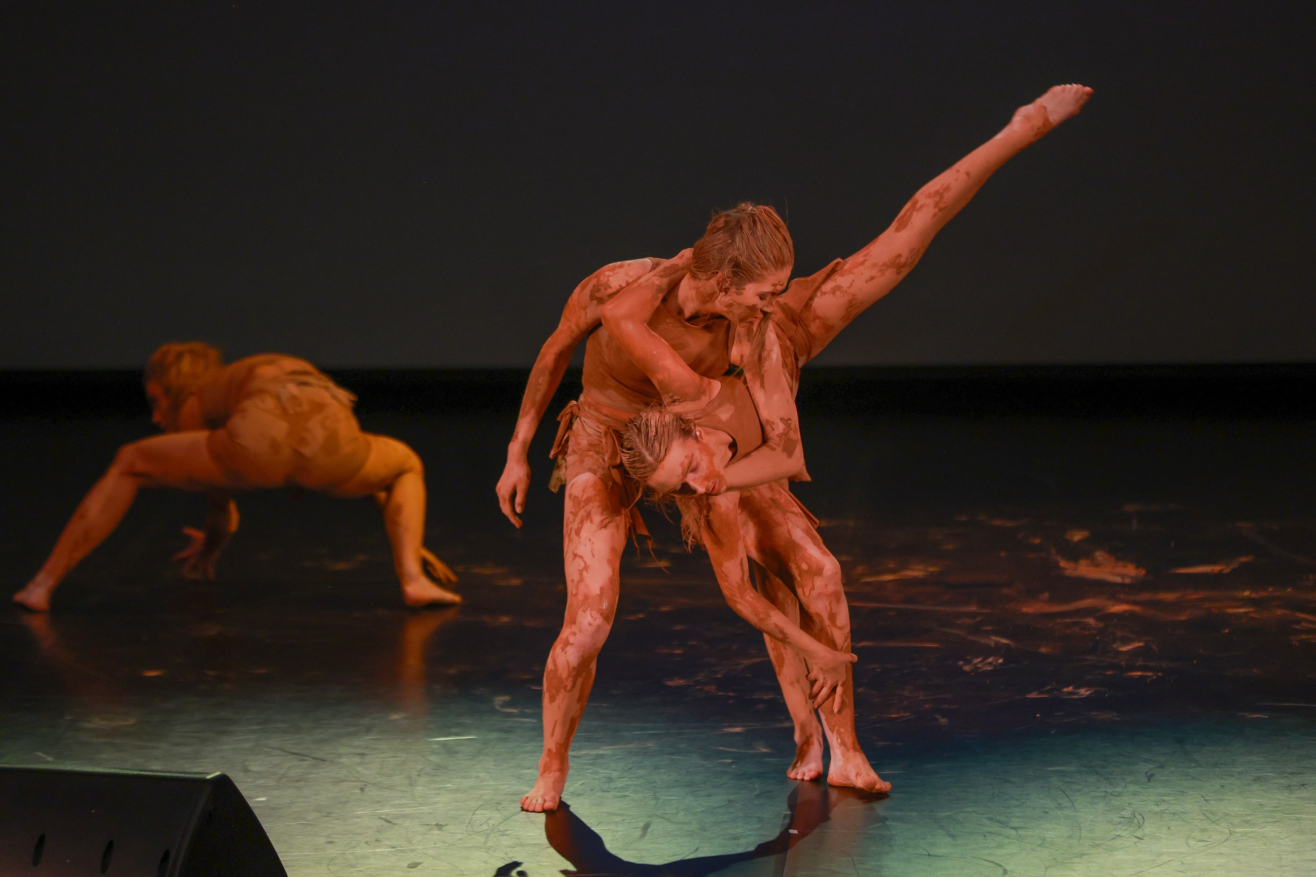 Небесные ласточки на Танц ЭКСПО 2026. Фотограф Юлия Мальцева