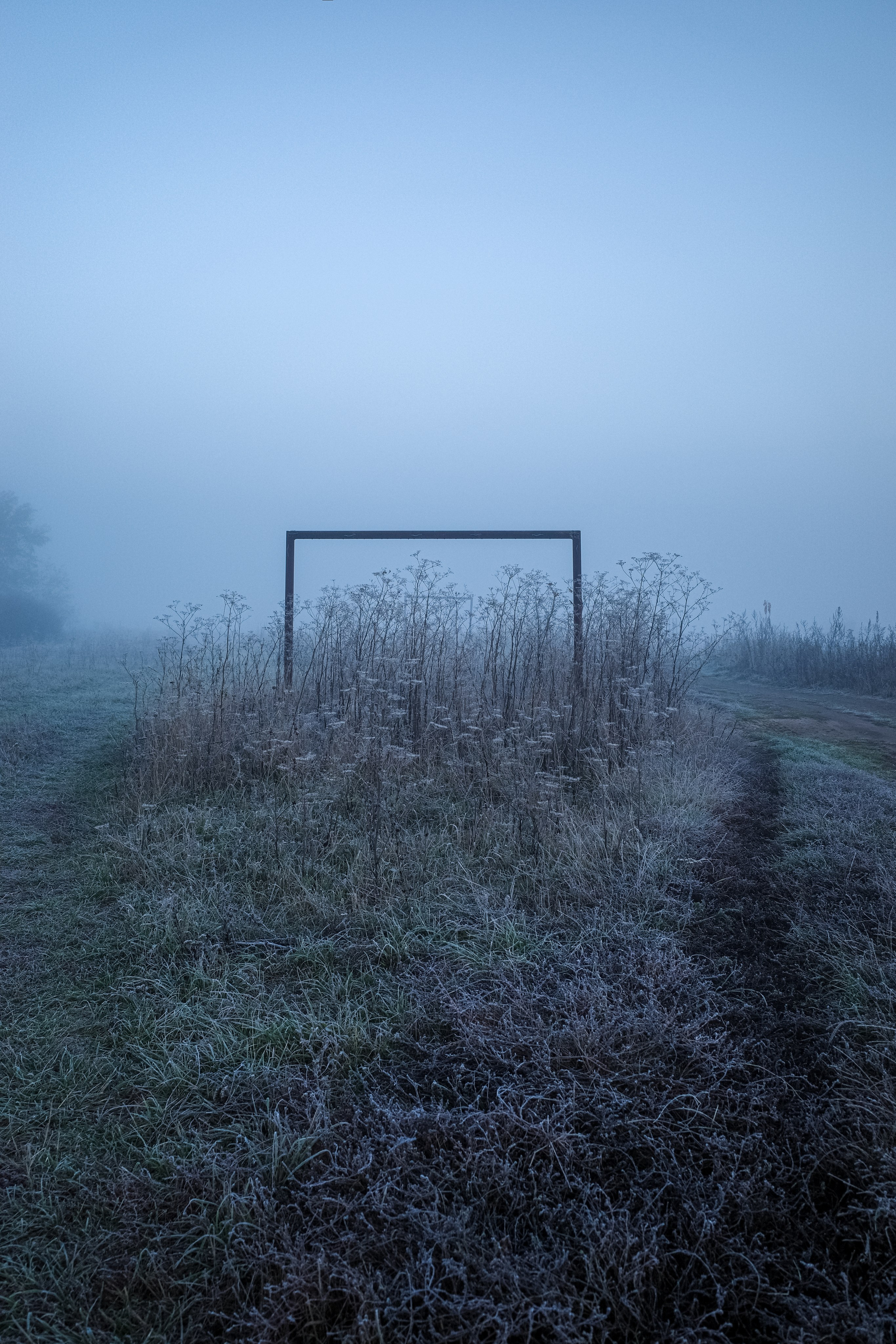 О границах реального. Междисциплинарный художник Екатерина Старовойтова