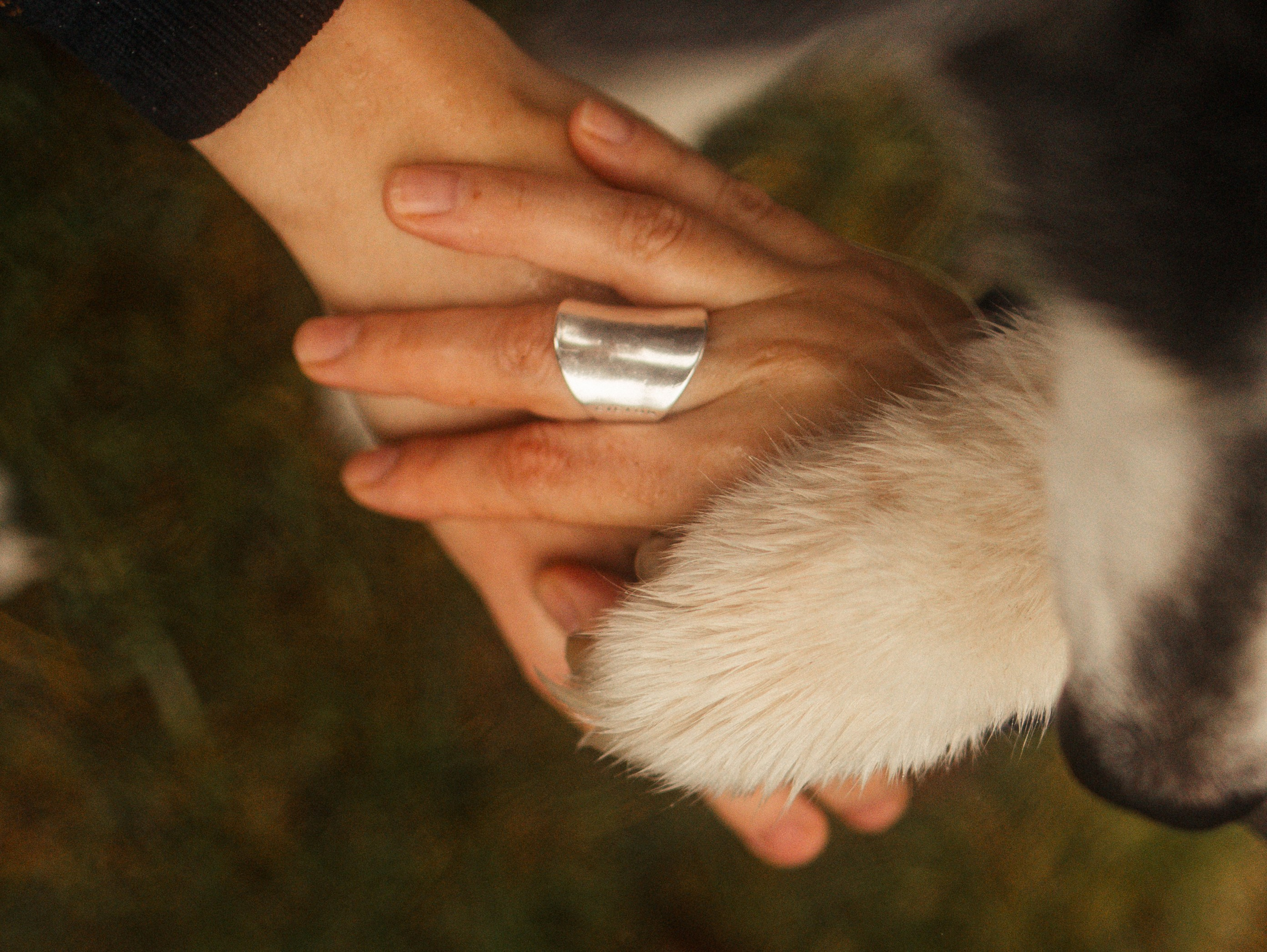 Лена, Глеб, Ральф и Рэй. Фотограф в Выборге и Санкт-Петербурге Маша Гуляева