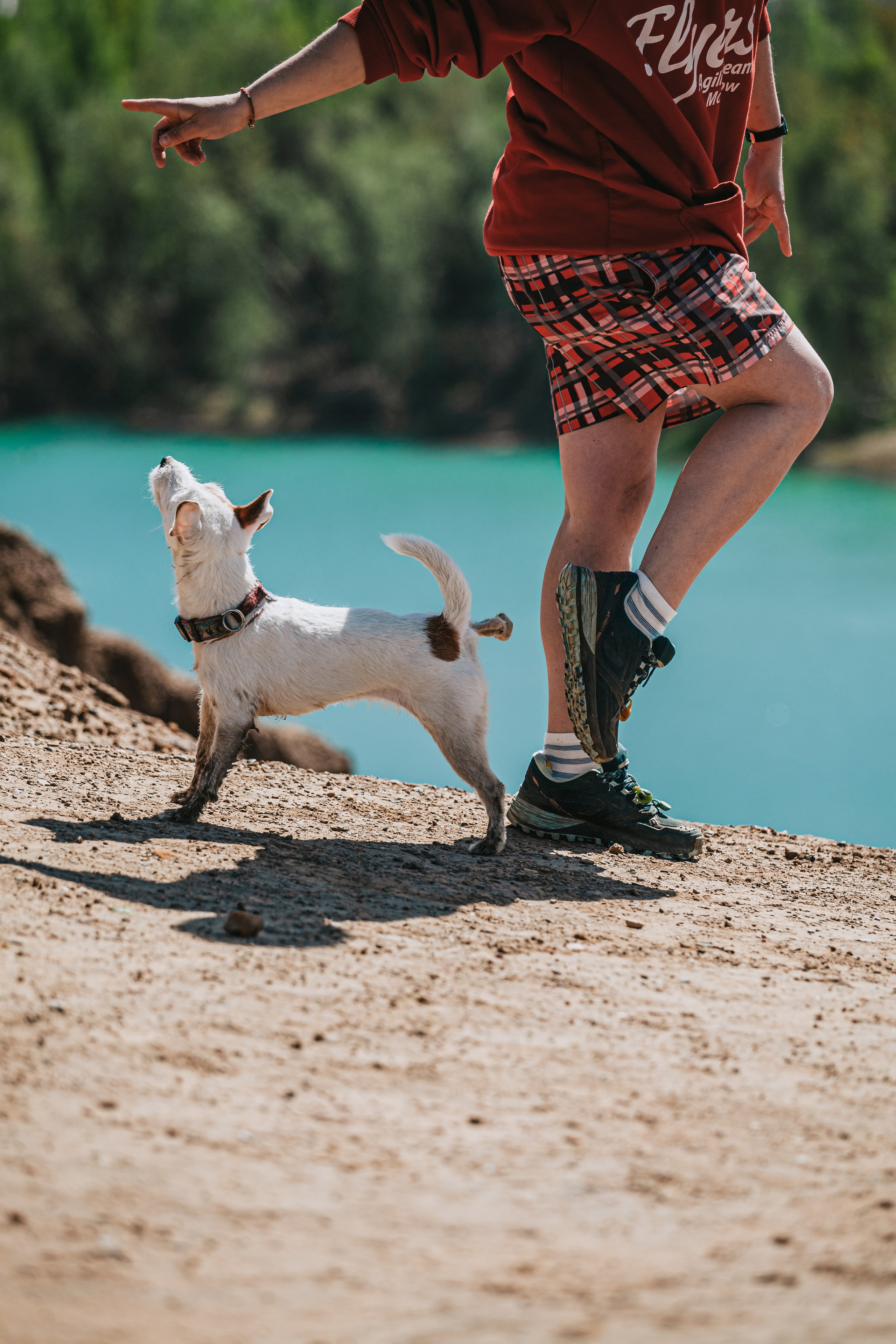 Кондуки. Фотограф-анималист Татьяна Степанова