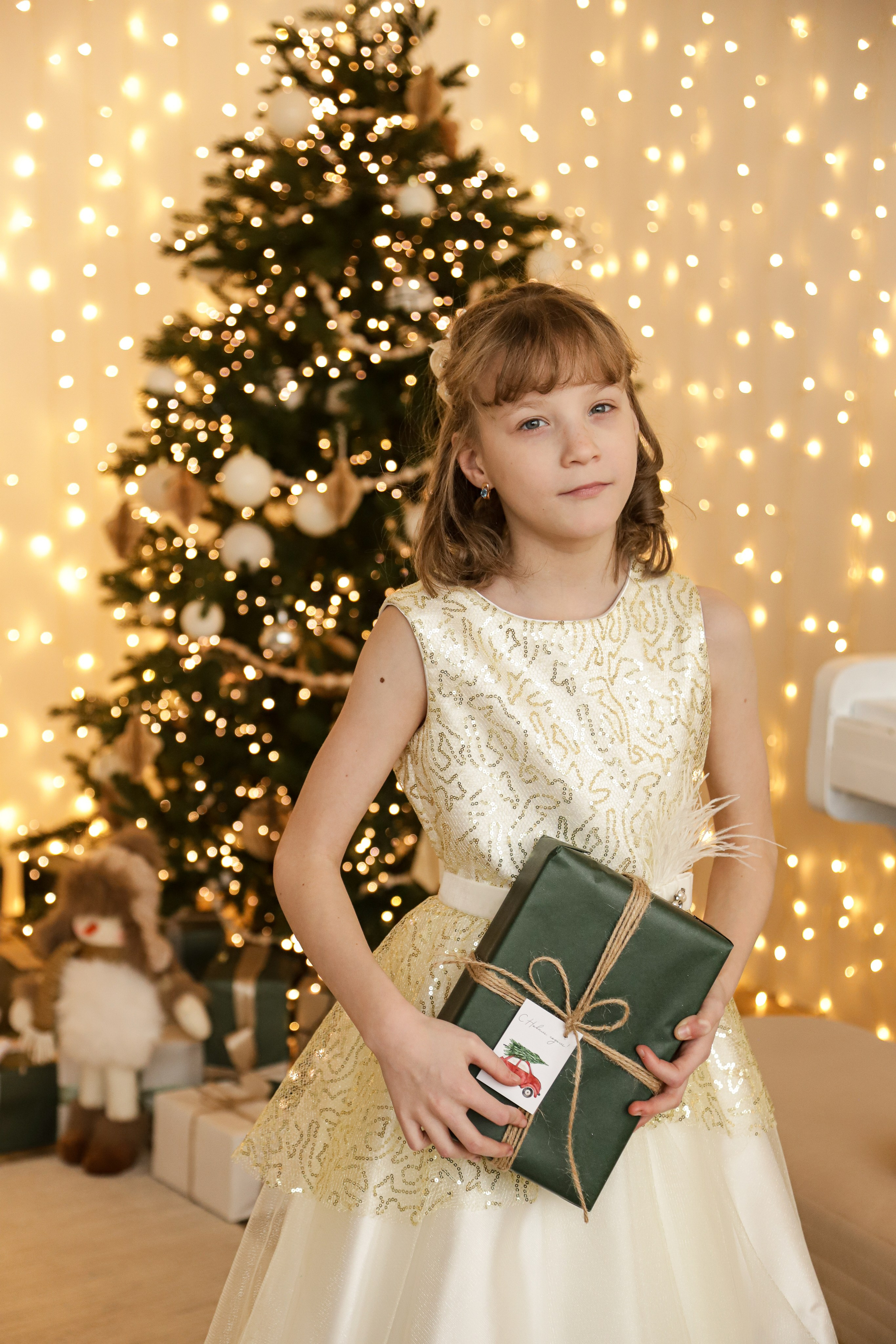 Сестрички новогодняя. Диана Николаева — фотограф город Балашиха