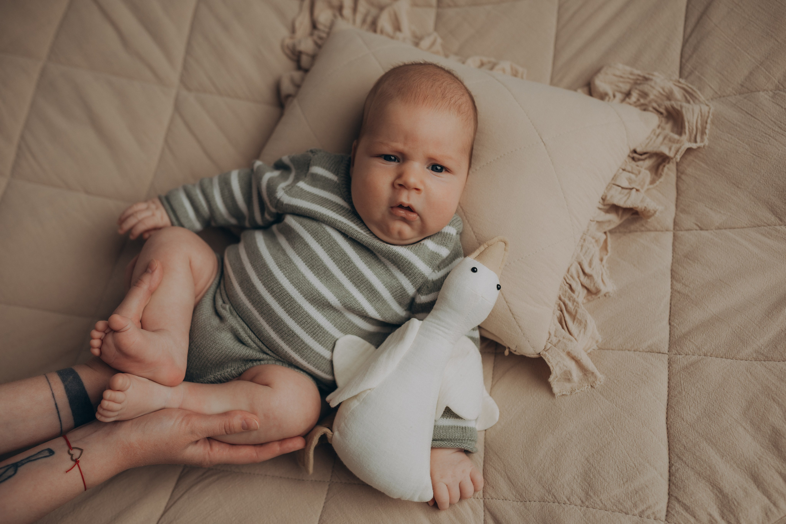 Фотограф новорожденных Томск. Фотограф новорождённых семейный фотограф Томск Елена Каплина