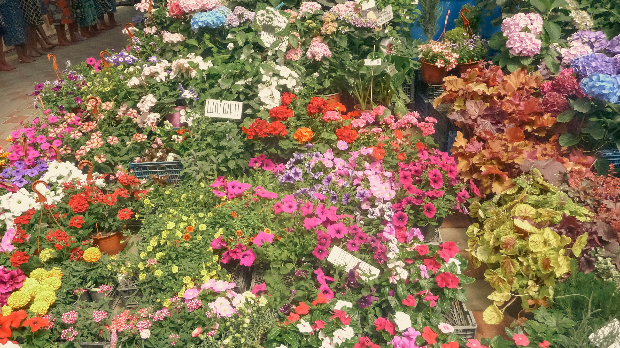 Майская Кубань. Фотограф Анастасия Лощакова в Москве