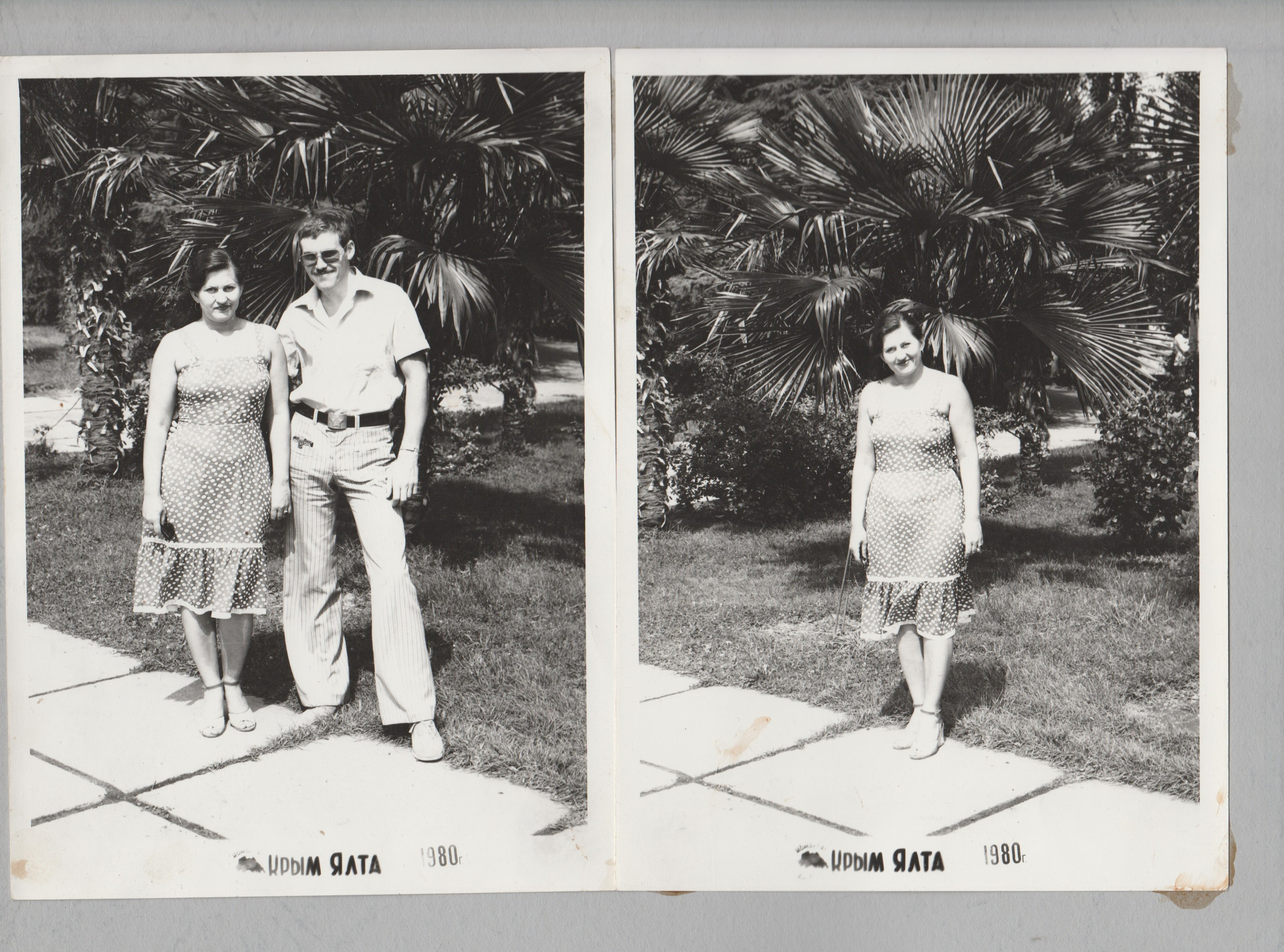 Фотография с пальмой. Курортное дело