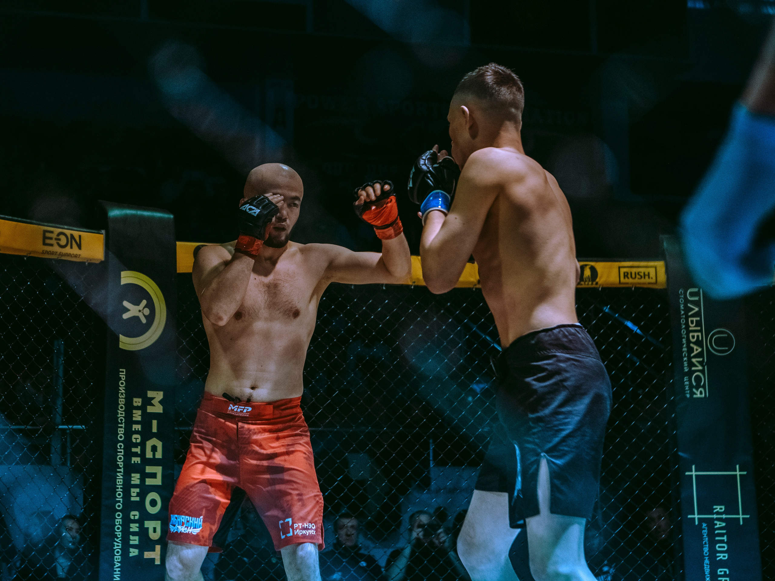 SFL 17 | Siberian Fighting League. Портретный фотограф в Москве Дарья Цезария