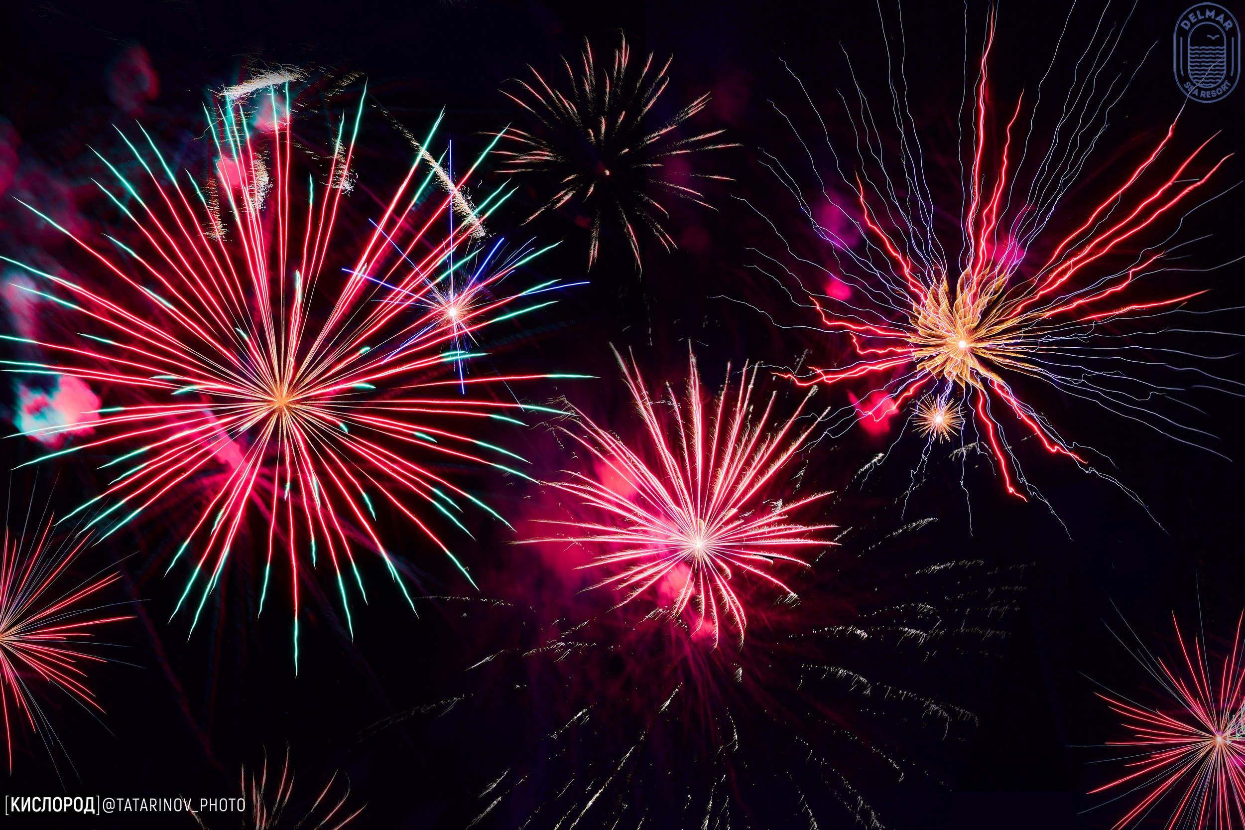 Профессиональная РЕПОРТАЖНАЯ ФОТОСЪЁМКА в Донецке, Макеевке. Фотограф Татаринов Андрей (Донецк / Макеевка)