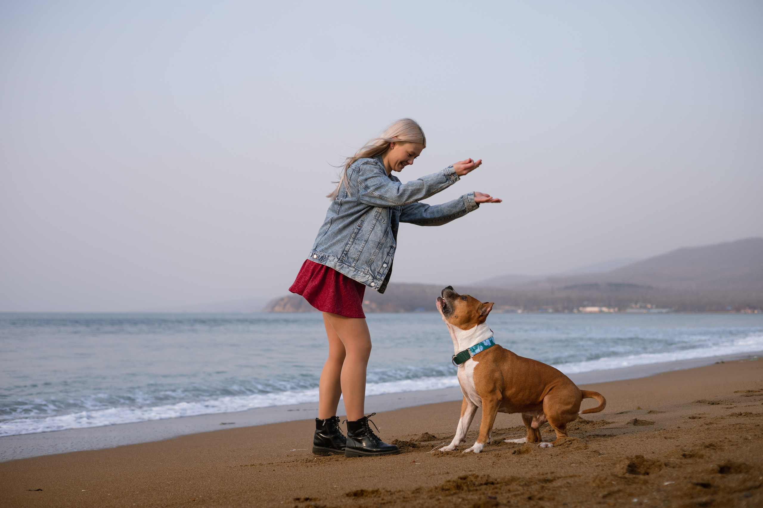 Юля и Харви. Фотограф — анималист Владивосток, Алина