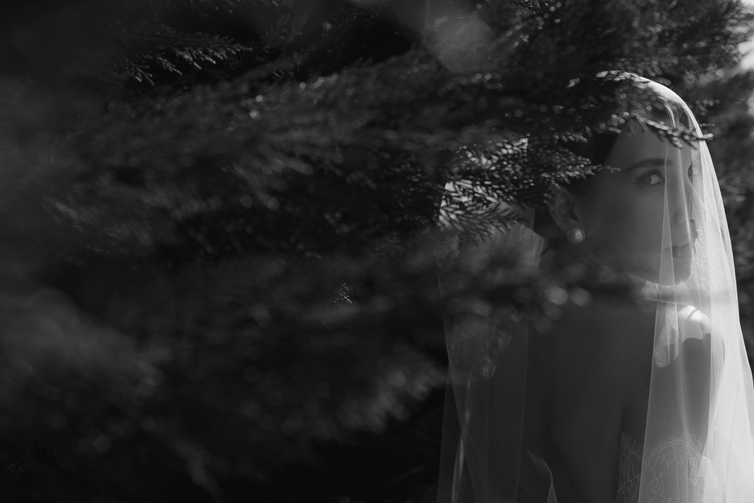 Вадим и Ксения. Свадебный и семейный фотограф в Анапе/Новороссийске Виктория Чайка