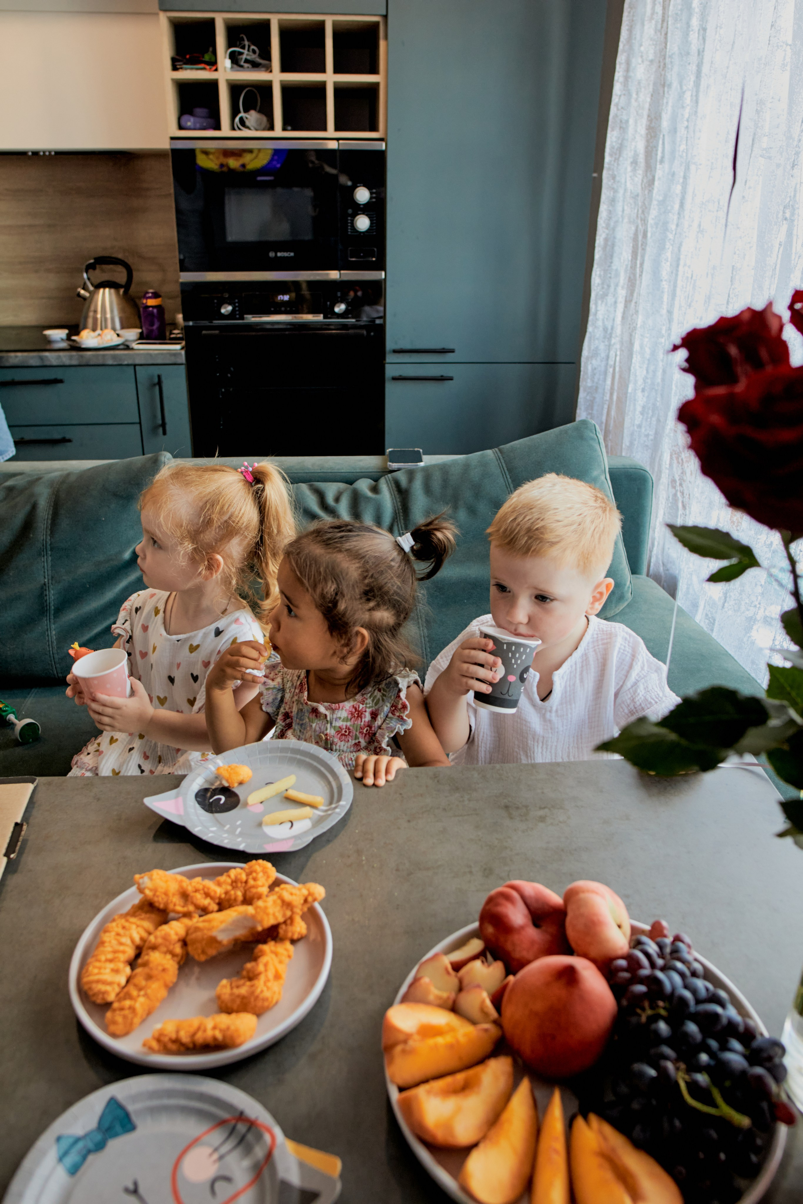 Три кота. Фотограф Москва