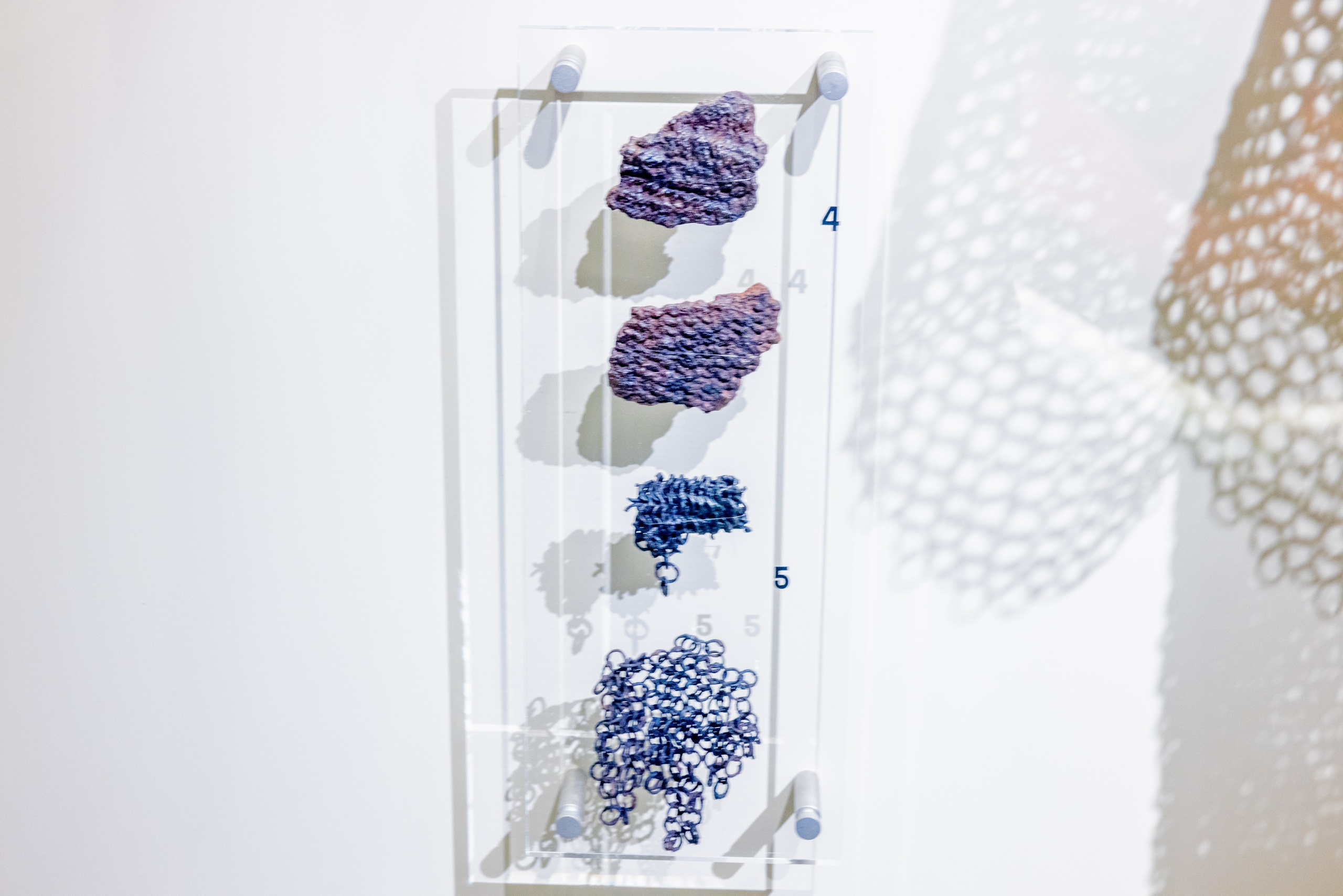 Поездка на поле Кулеково. Фотограф в Туле Крупский АнДРей. Фотостудия «КАДР71» в Туле