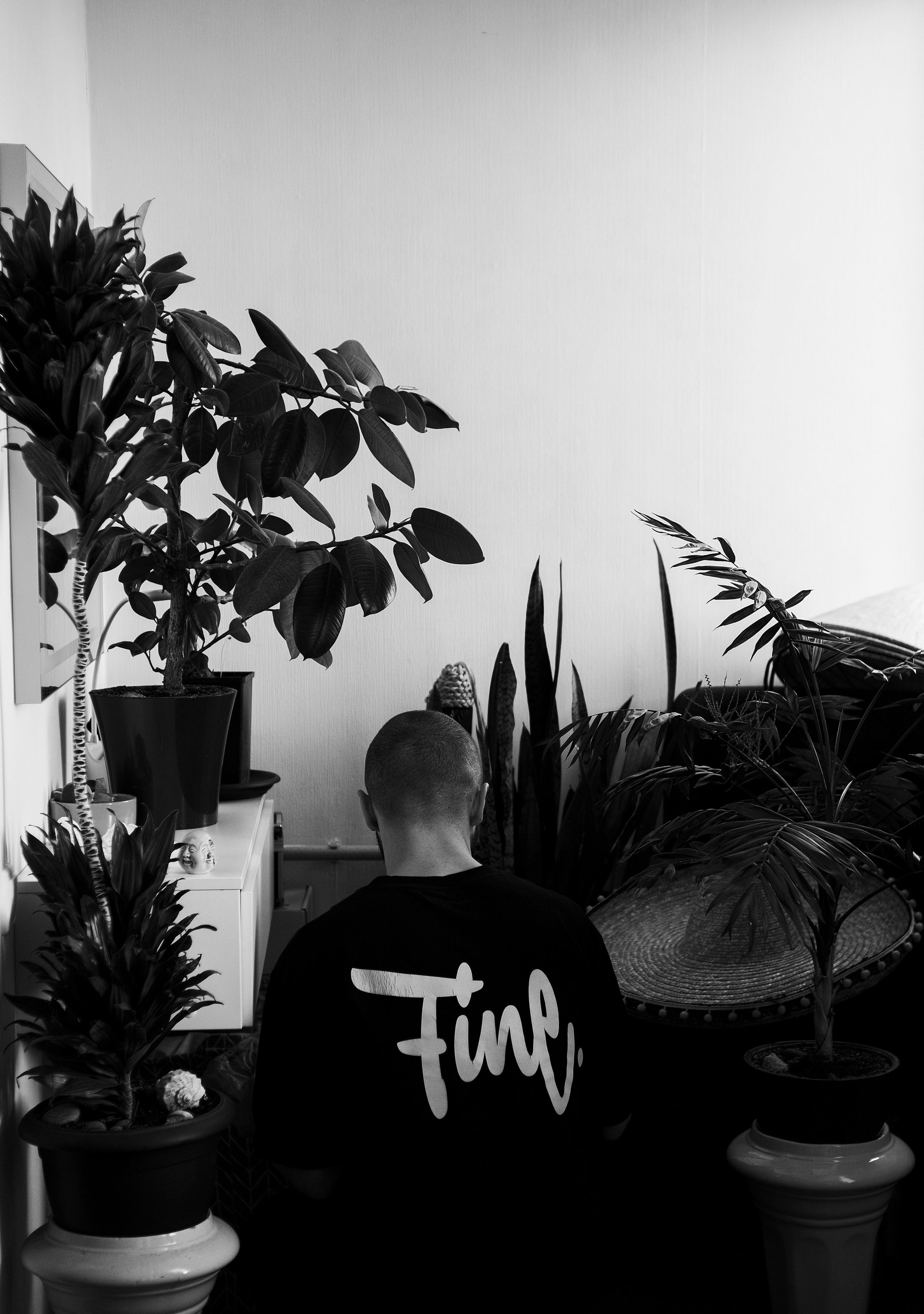 Fine & Summer Jam. Фотограф, видеограф в Санкт-Петербурге