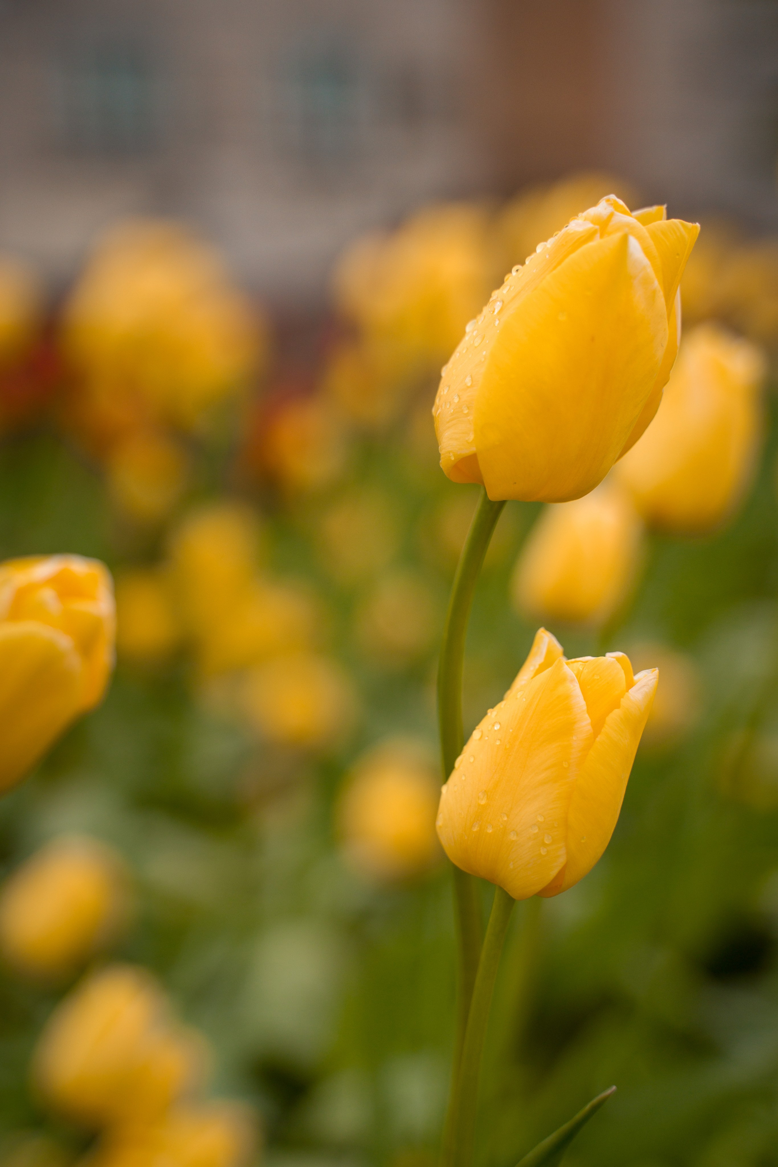 Нижний Новгород. Контент-фотограф в Нижнем Новгороде Антошина Ольга