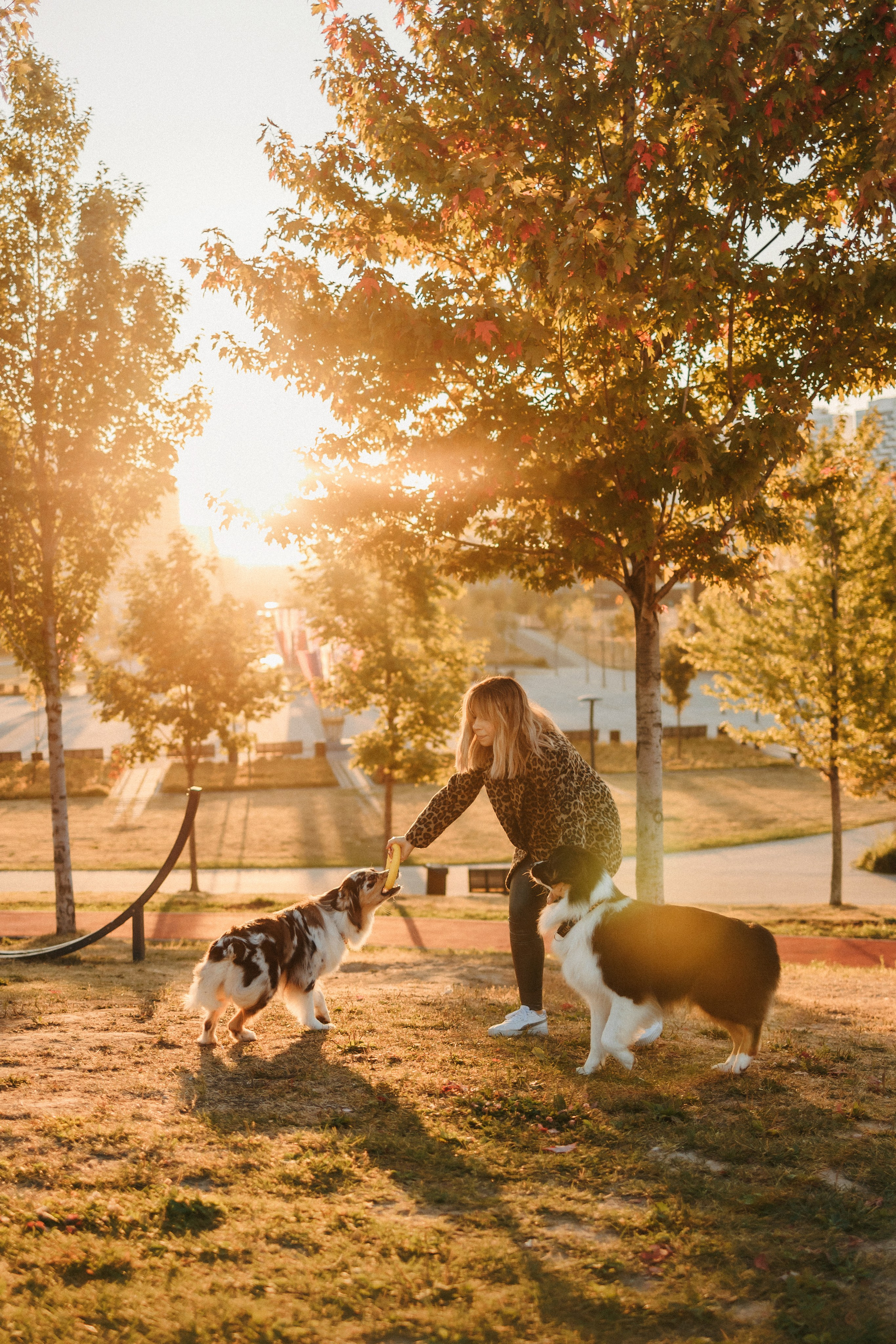 Аня, Чарли и Ева. Фотограф-анималист Елена Радченко, Москва