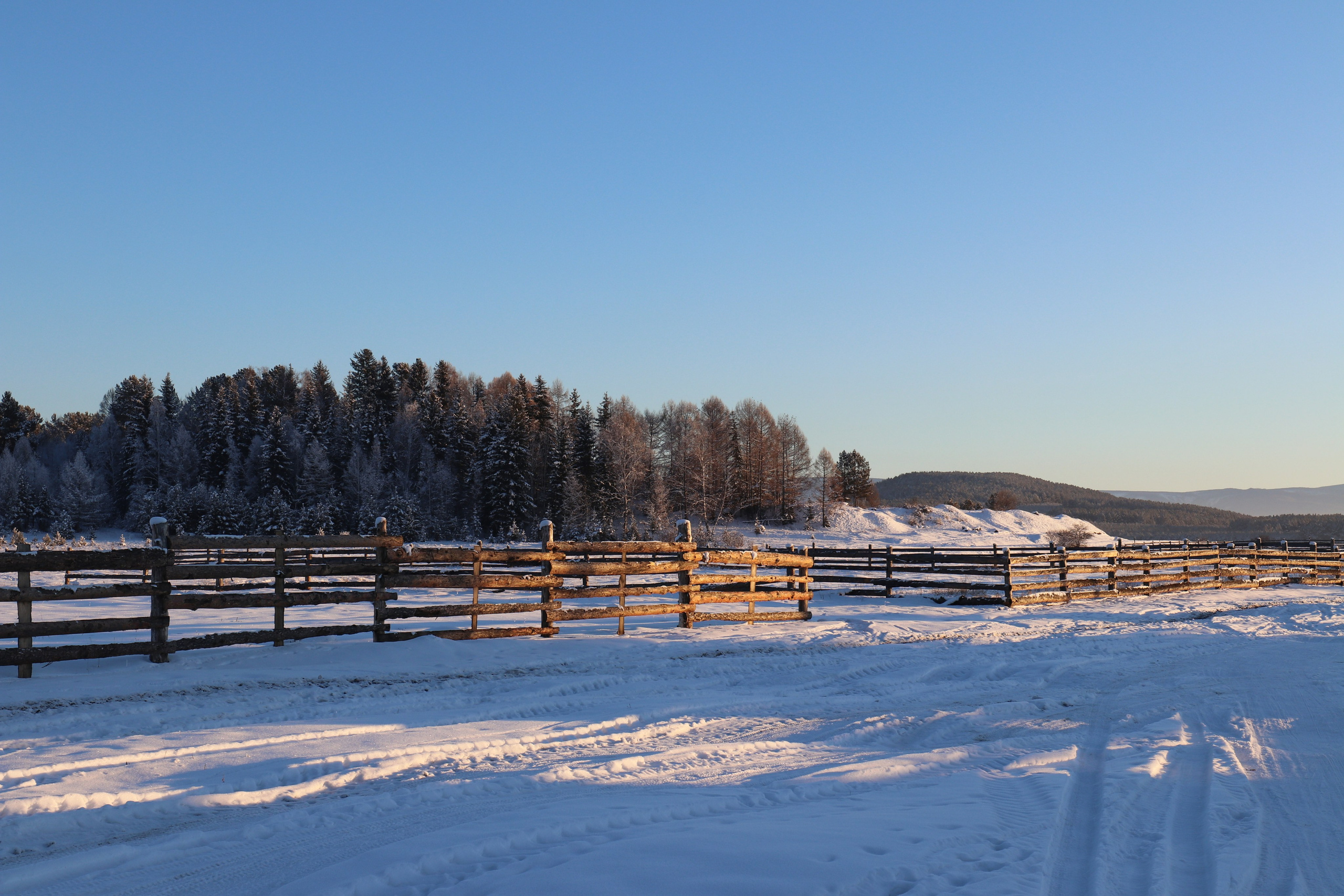 Аршан. Январь 2022. Путешественник-фотограф из Санкт-Петербурга Татьяна Свистулина