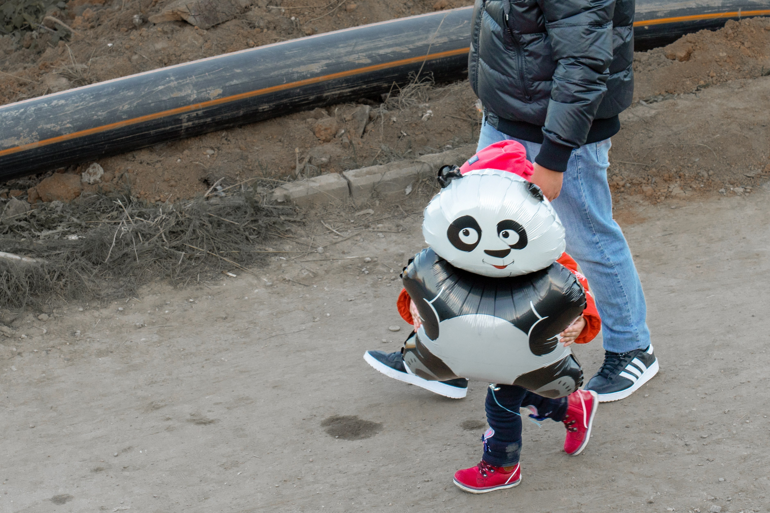 20211010 МГУ. Дмитрий Ремизов. Фотография, как хобби