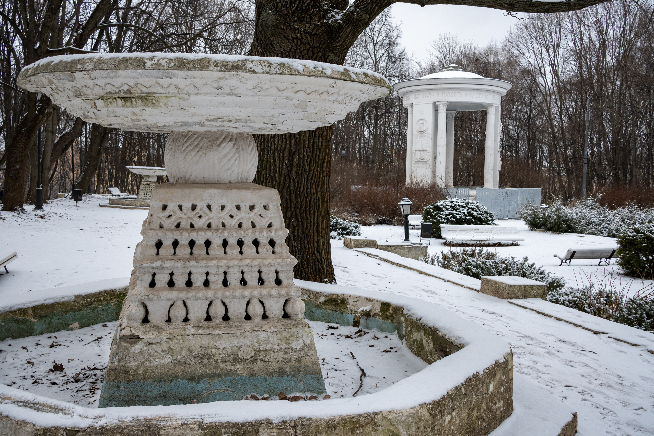 20250216 Нескучный сад. Дмитрий Ремизов. Фотография, как хобби