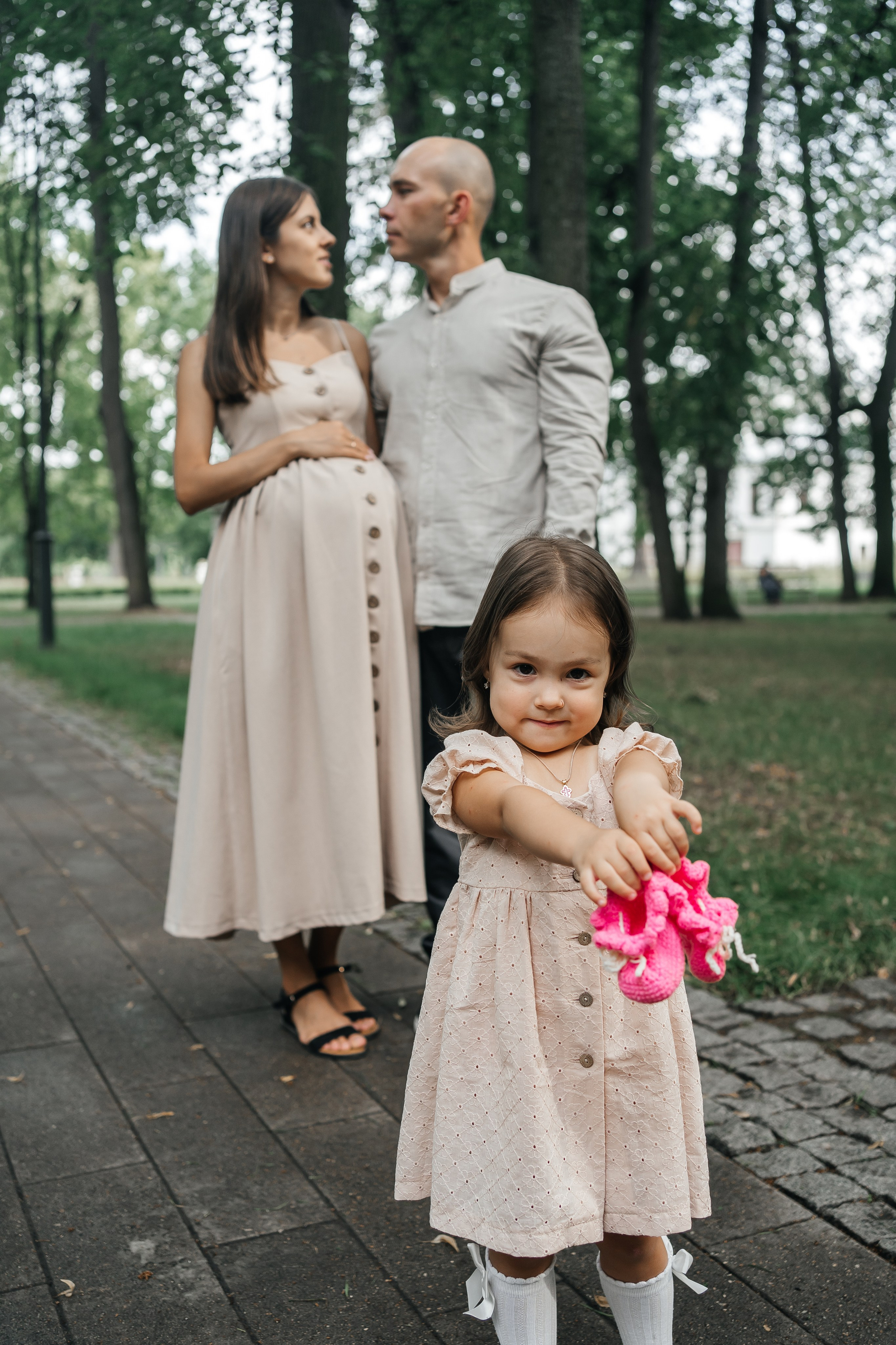 Абиша и Илья