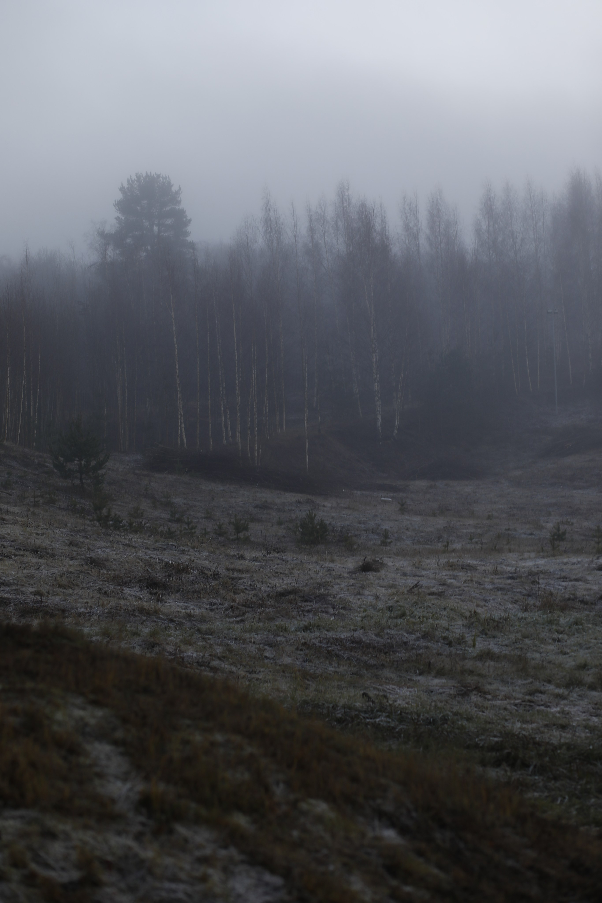 Clients. Elizabeth Marriott